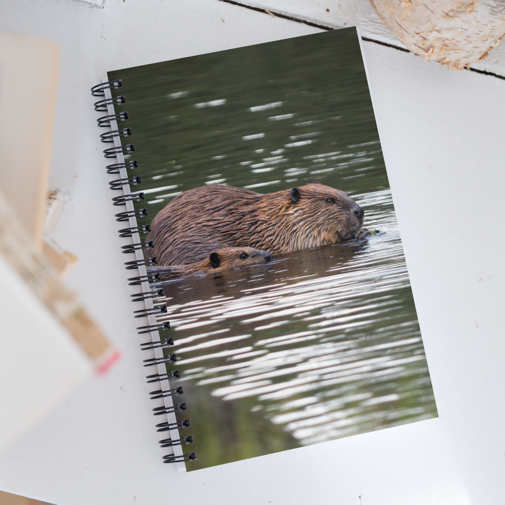 Beaver Spiral notebook