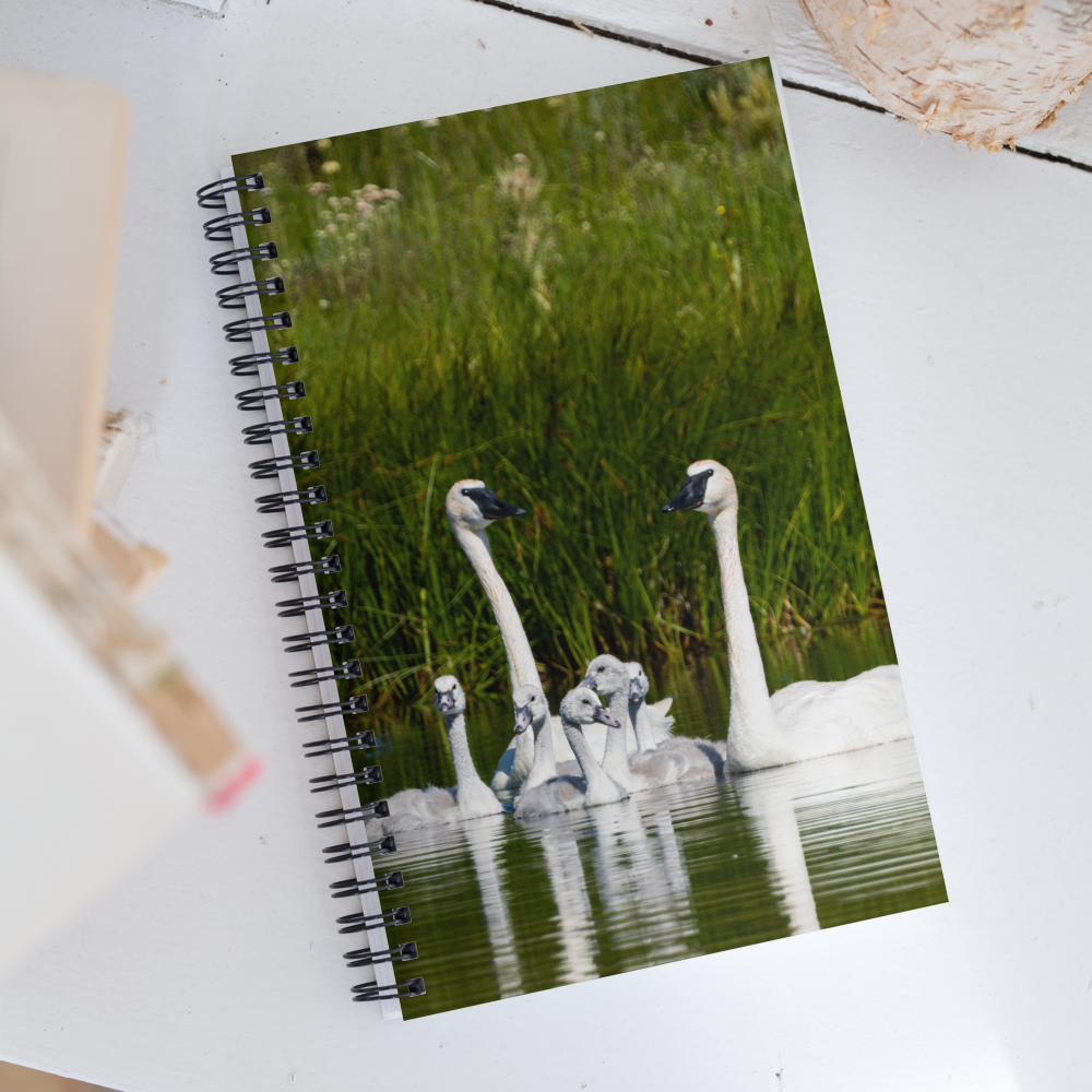 Swan Family Spiral notebook