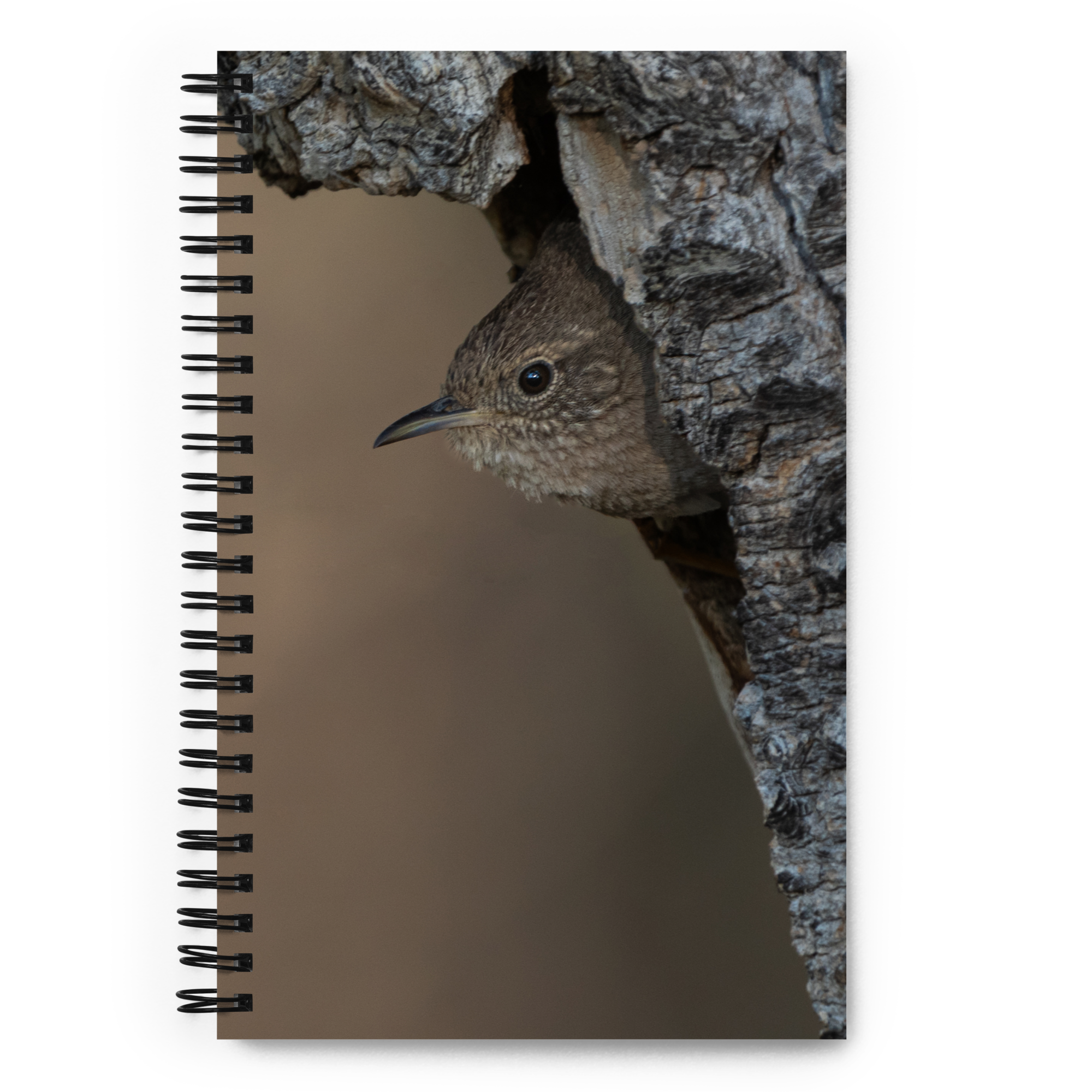 Wren Spiral notebook