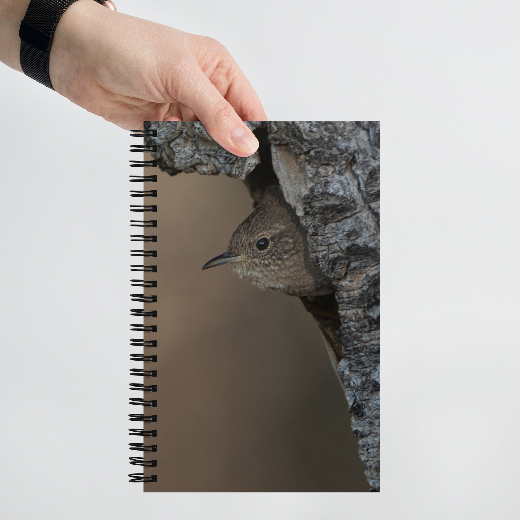 Wren Spiral notebook