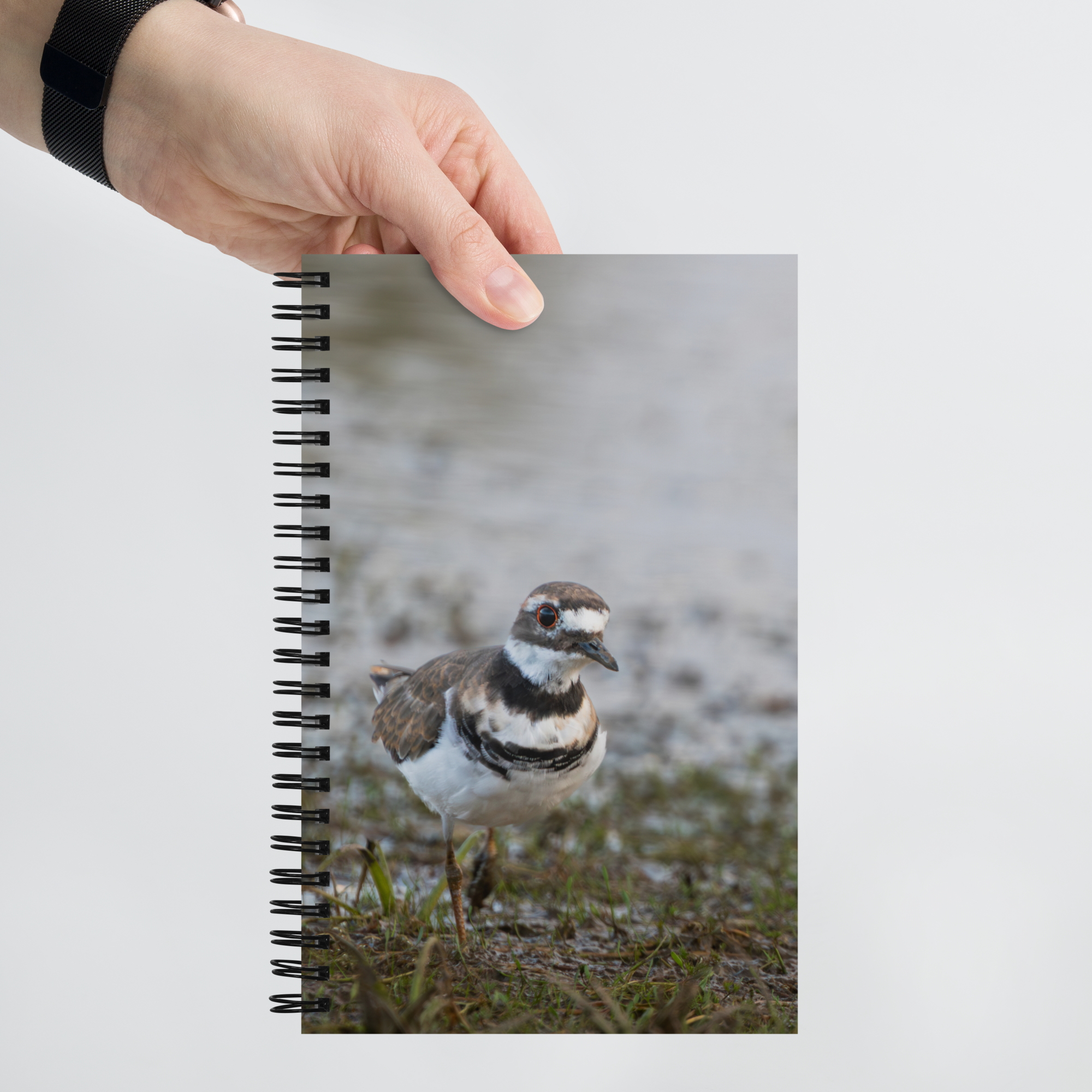 Killdeer Spiral notebook