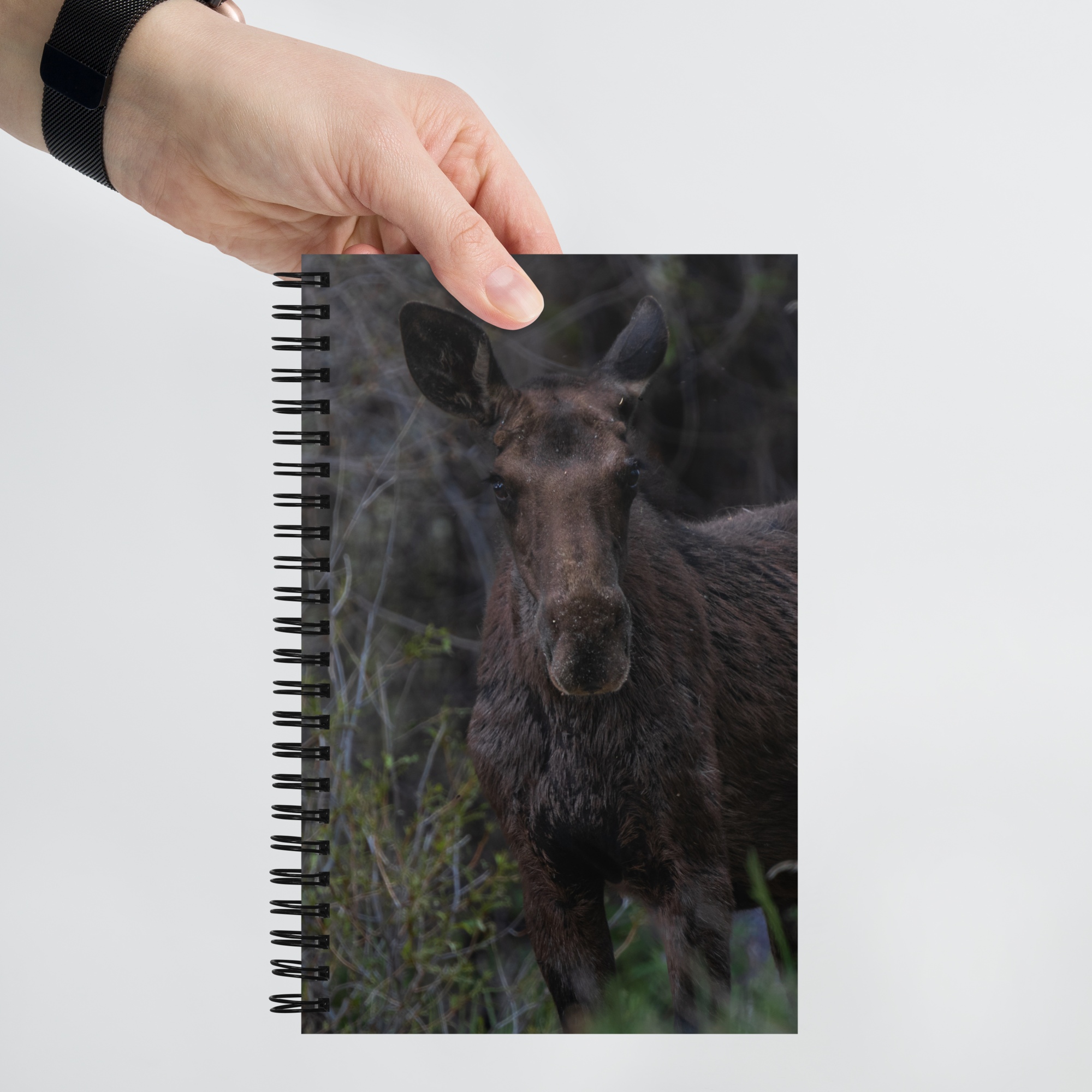 Moose Spiral notebook
