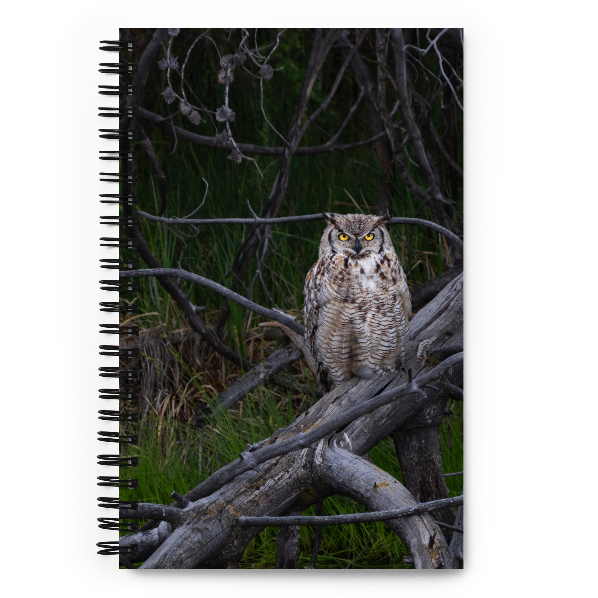 Owl Spiral notebook