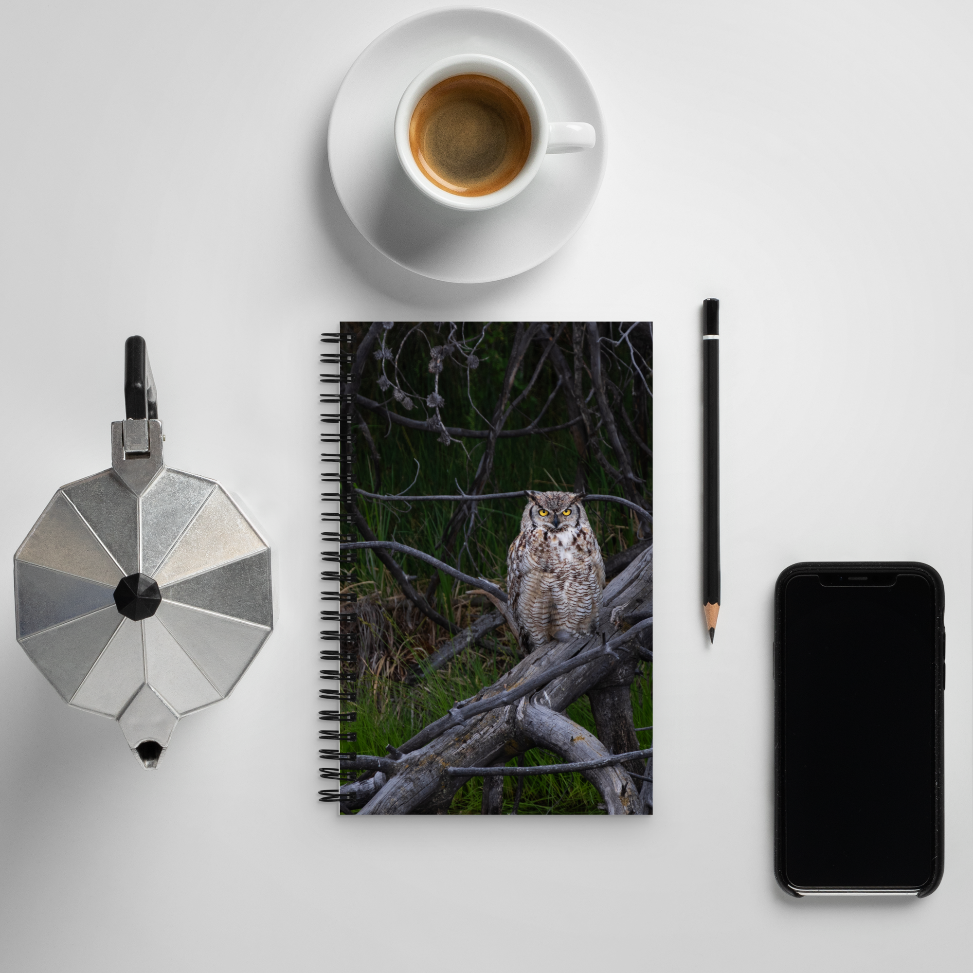 Owl Spiral notebook