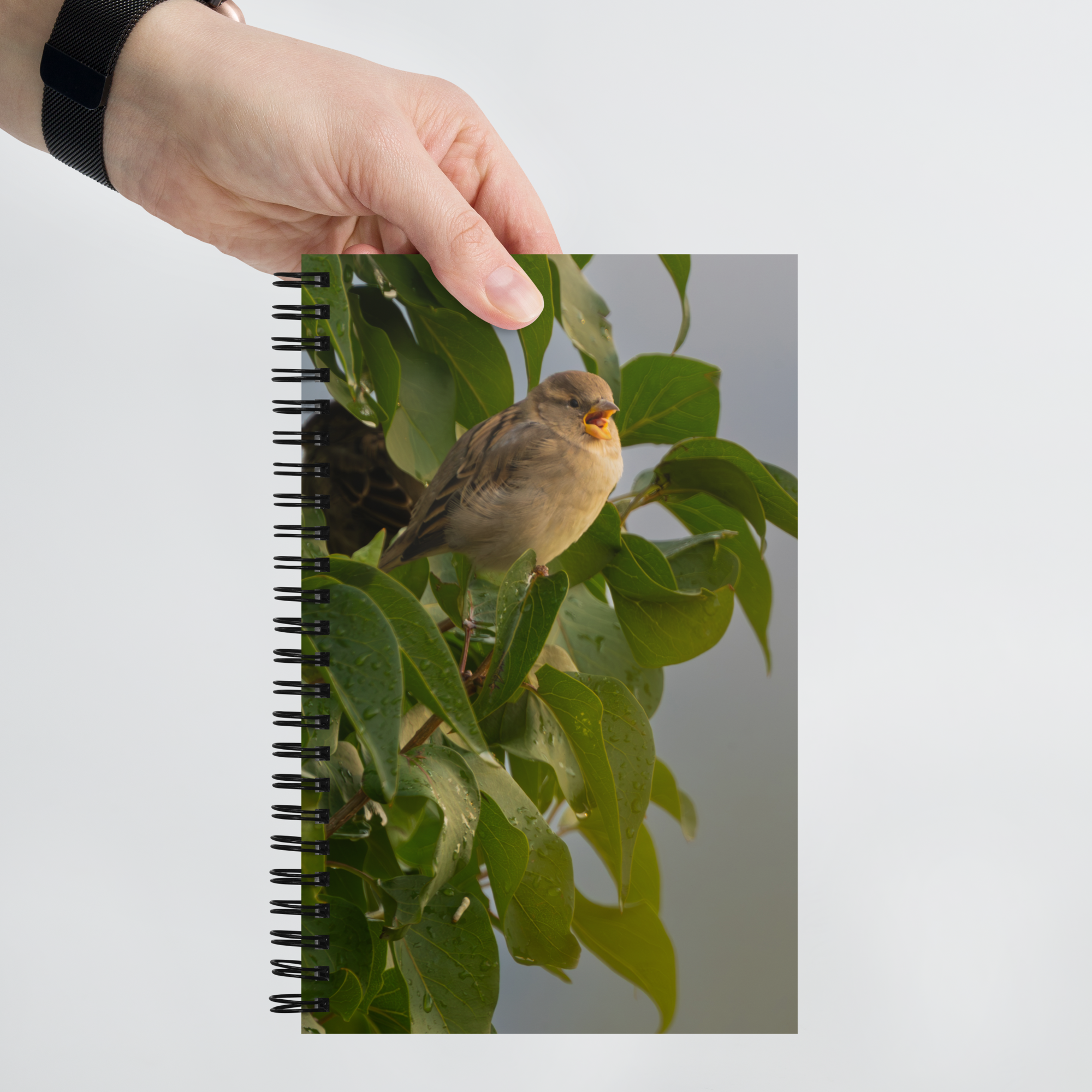 Common Sparrow Spiral notebook