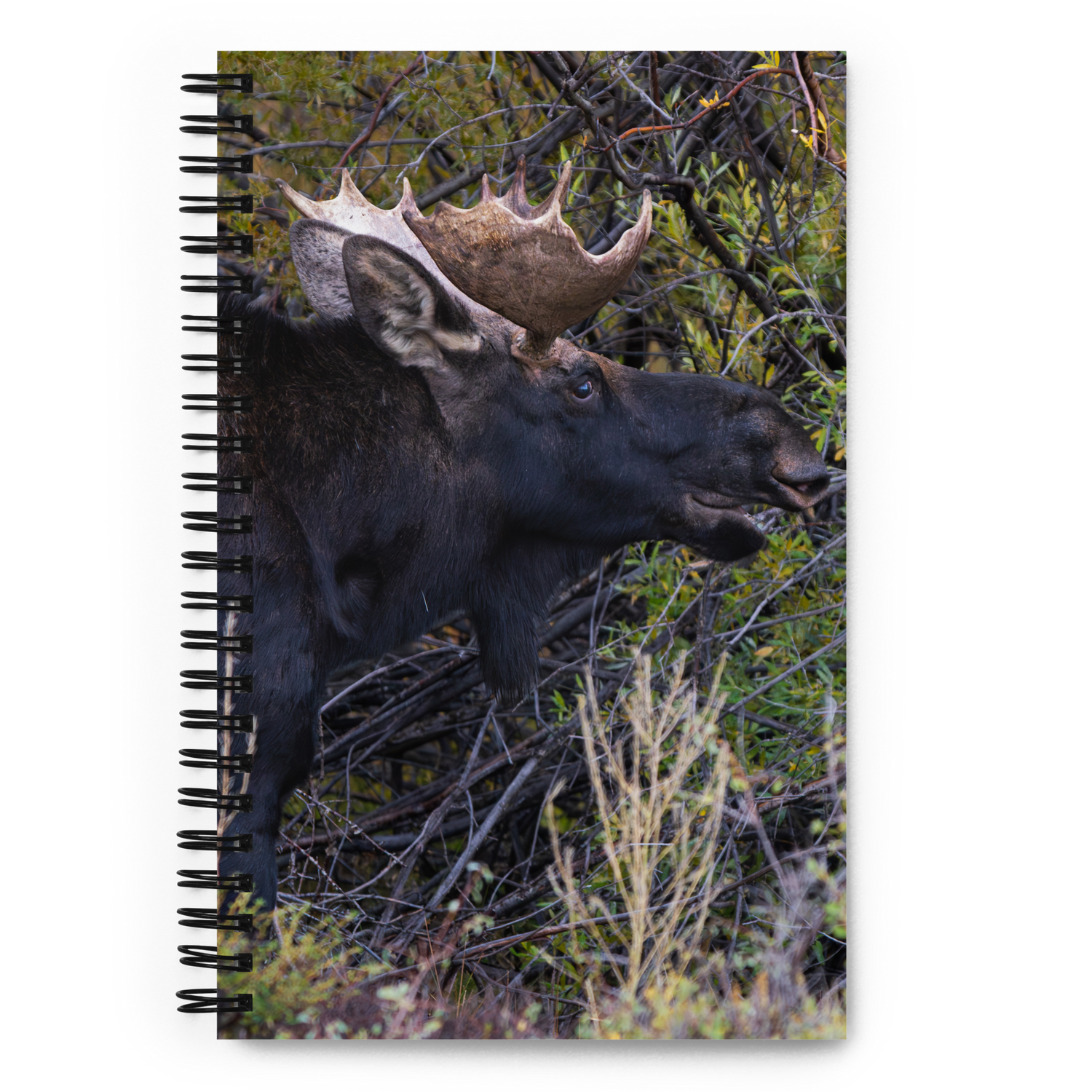 Moose Spiral notebook