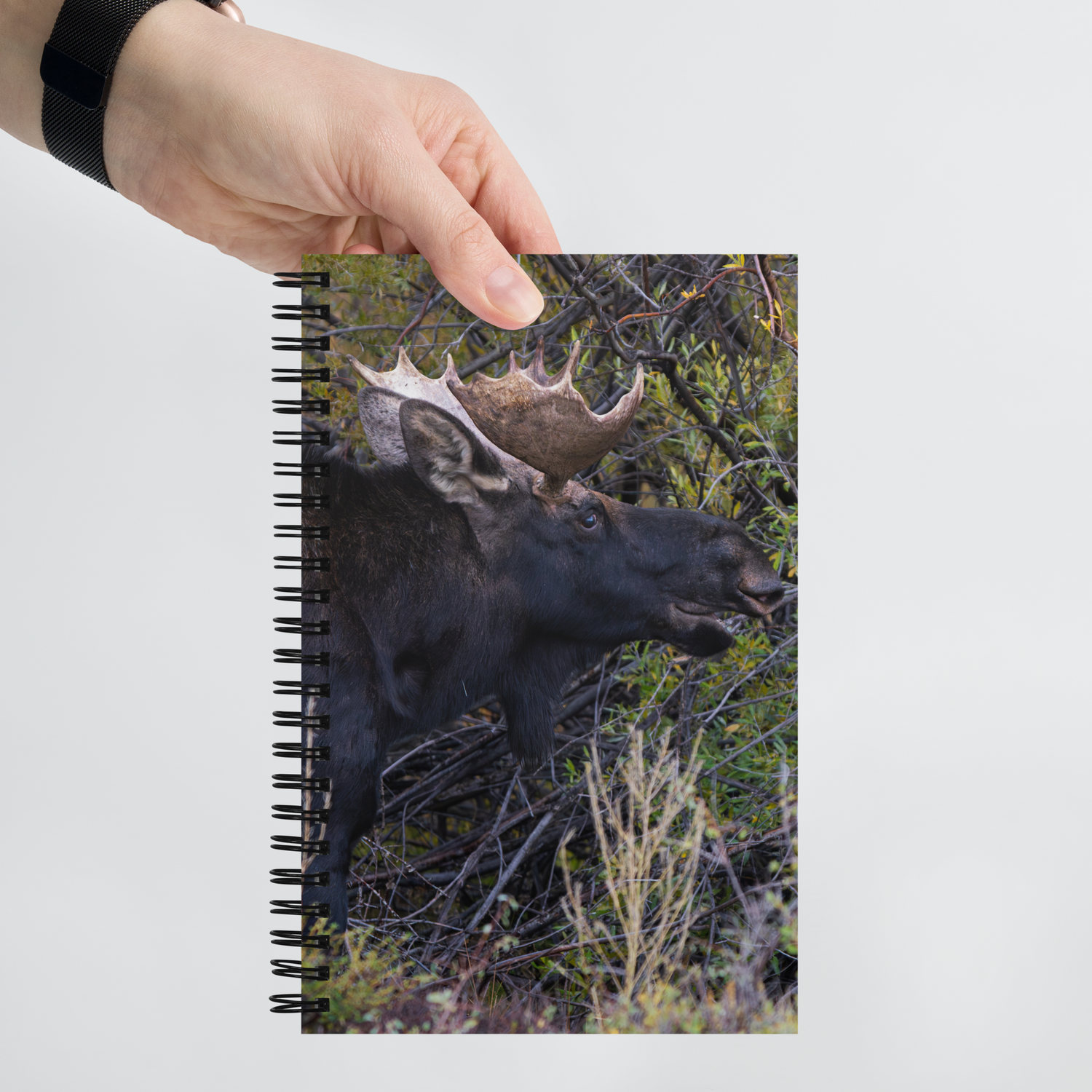 Moose Spiral notebook