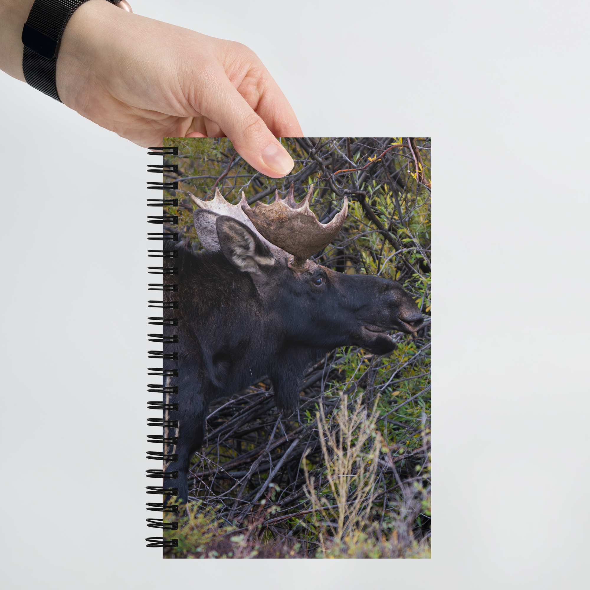 Moose Spiral notebook