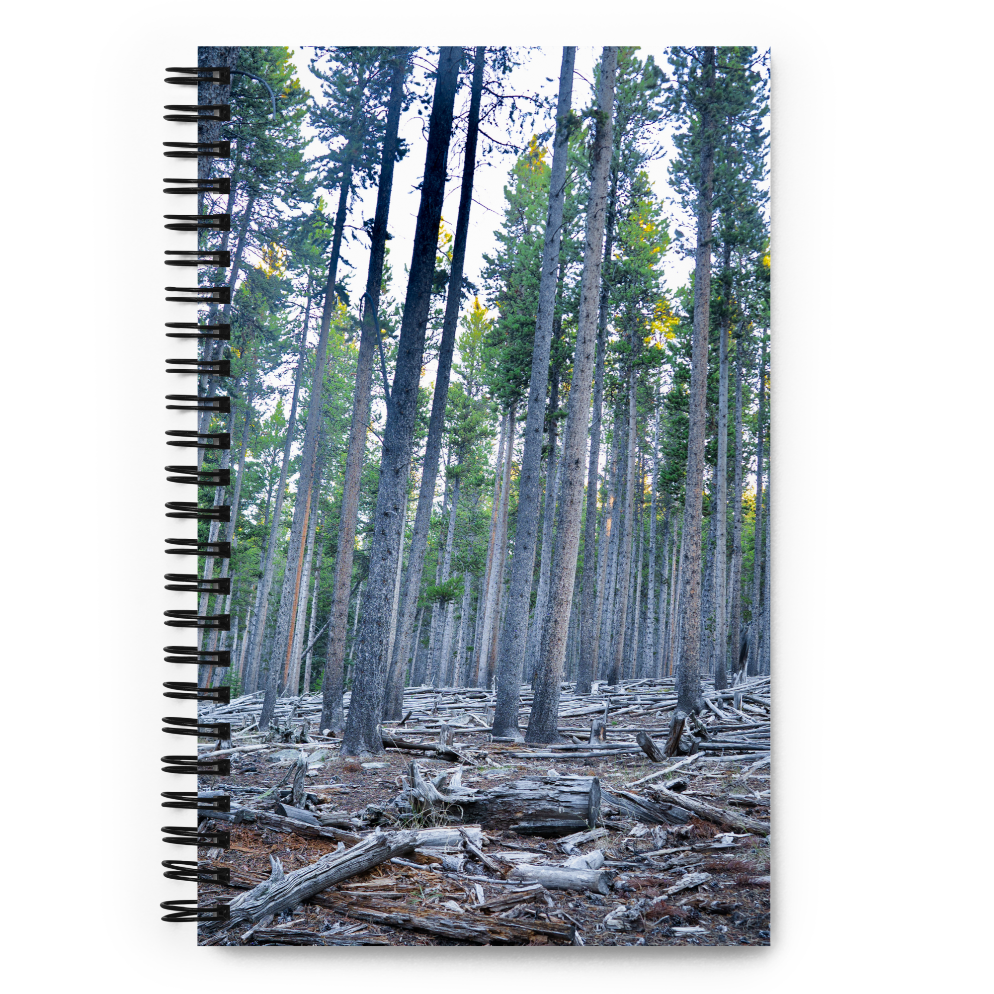 Wyoming in the fall Spiral notebook