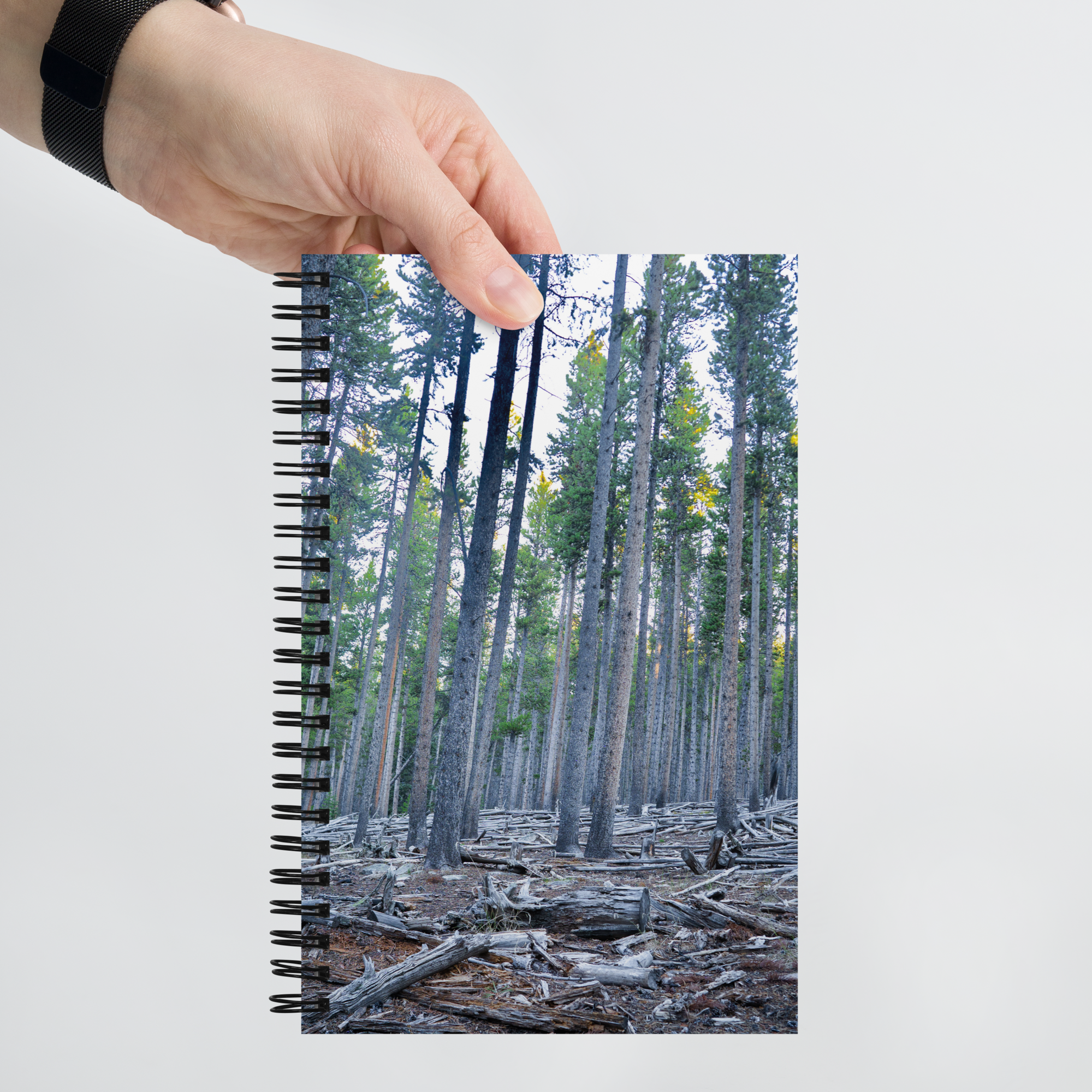 Wyoming in the fall Spiral notebook