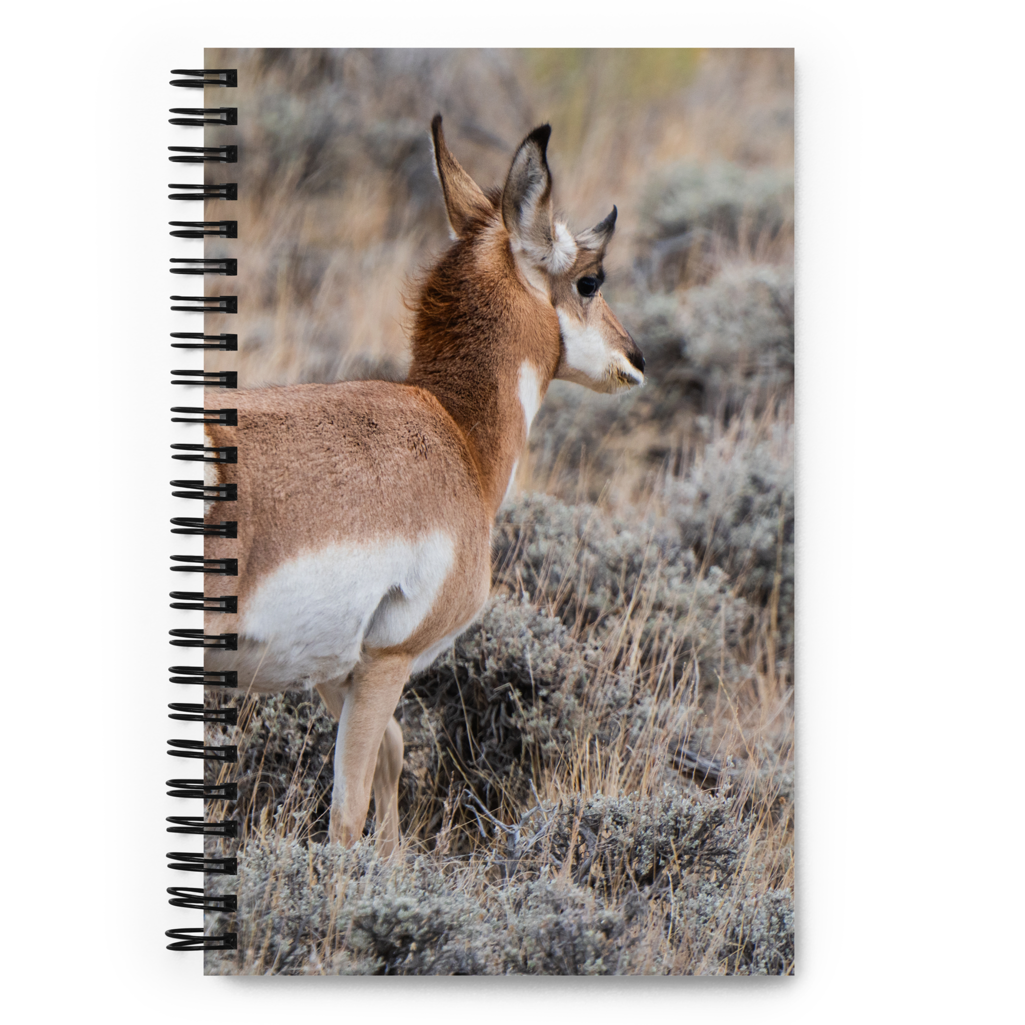 Pronghorn Spiral notebook