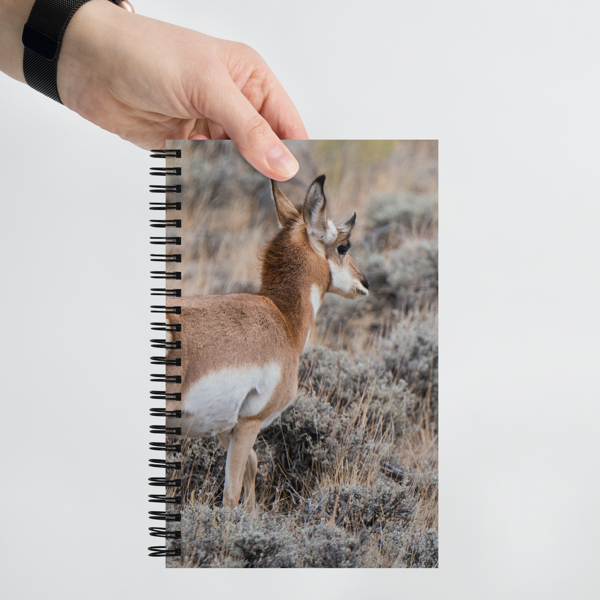 Pronghorn Spiral notebook