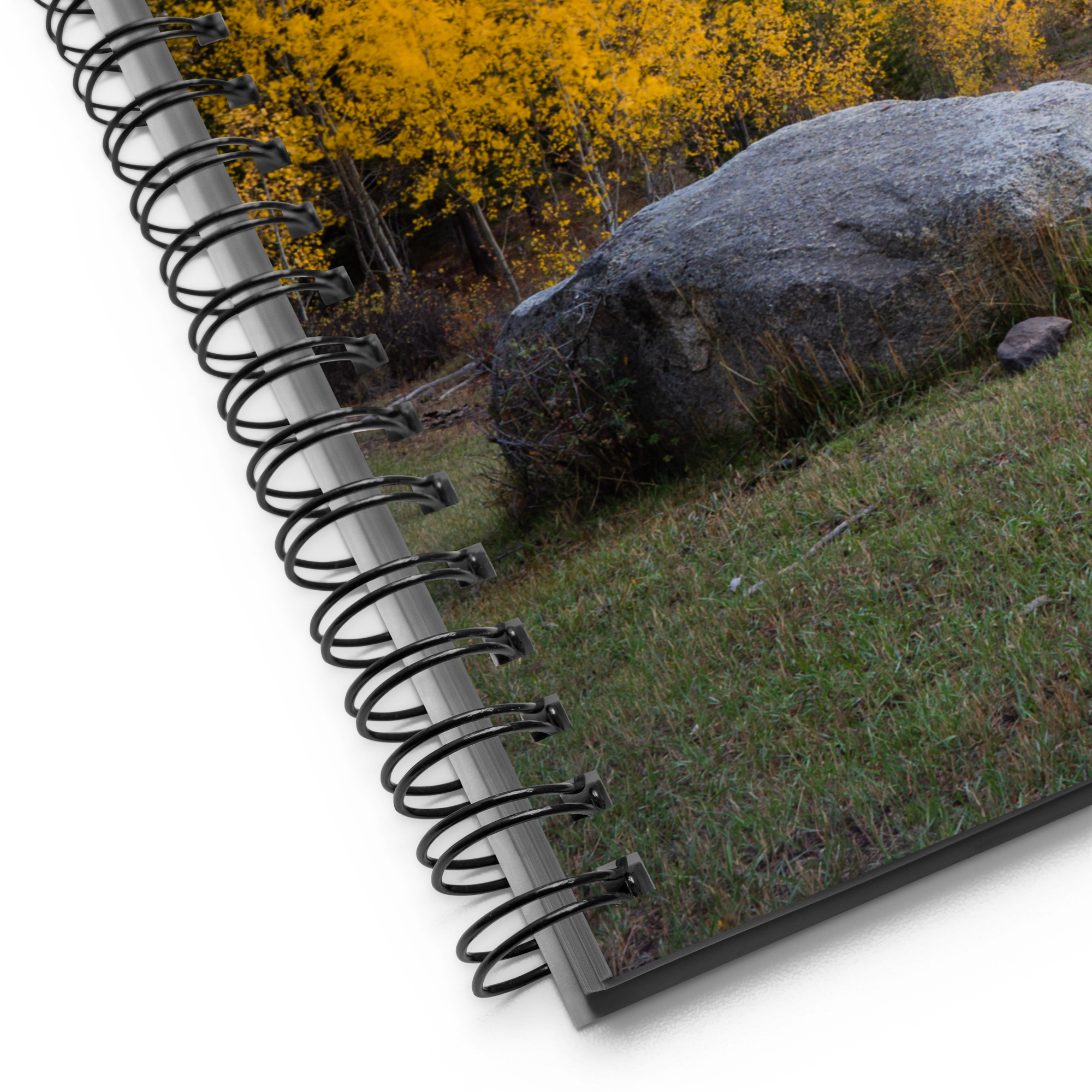 Fall in Wyoming Spiral Notebook
