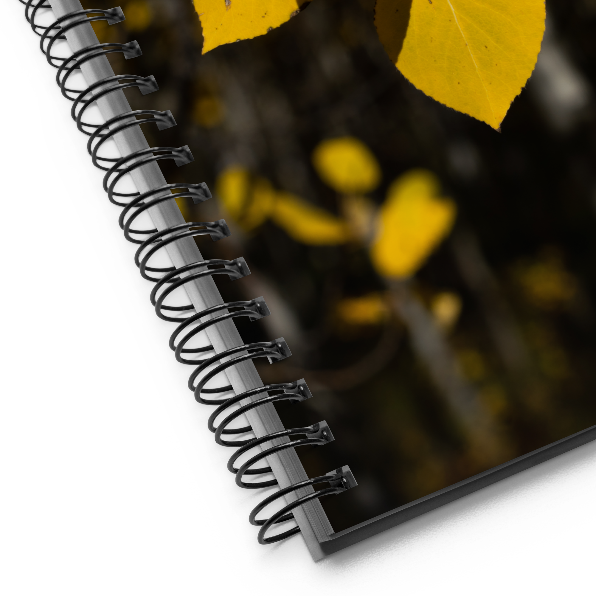 Fall Leaves Spiral Notebook