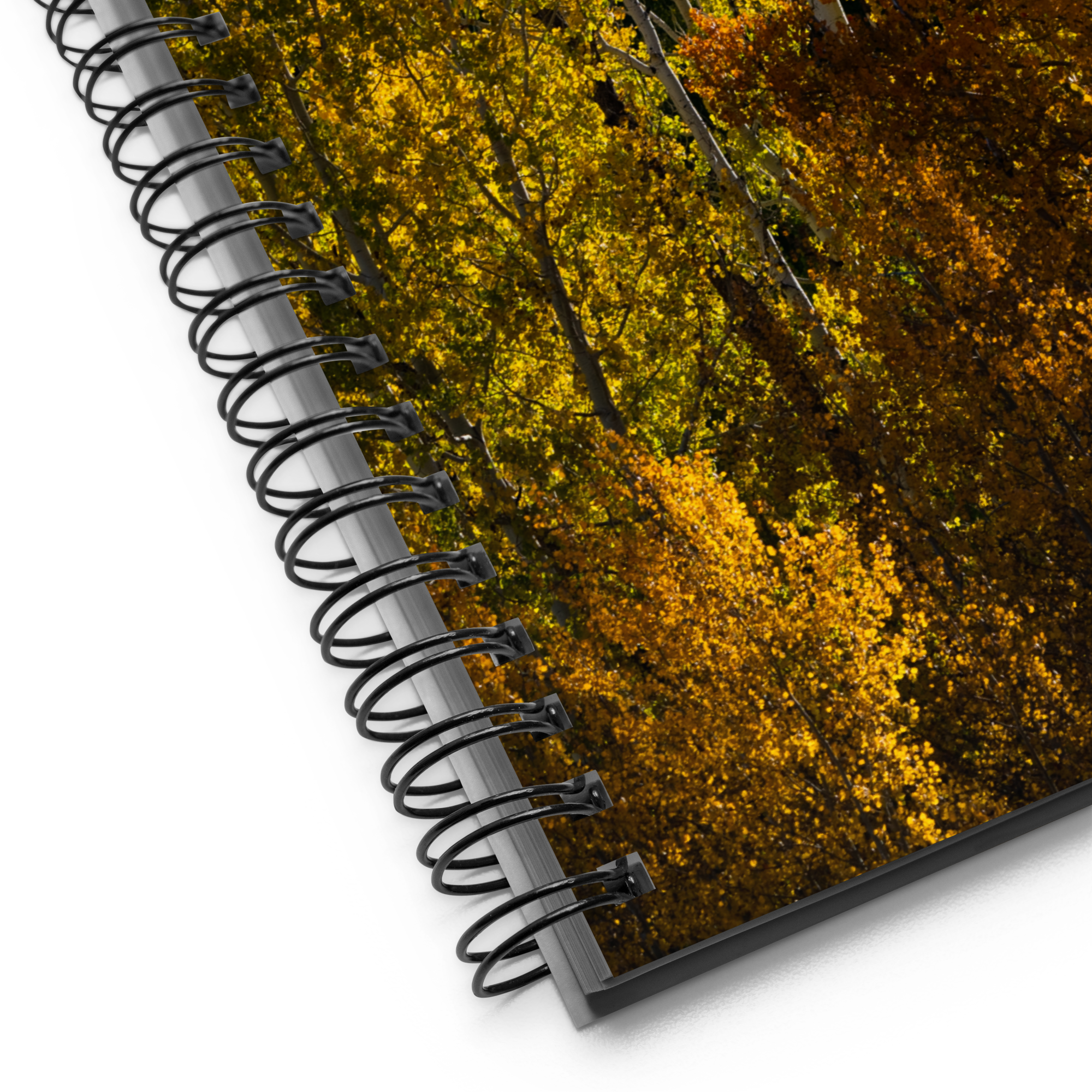 Aspens in the Fall Spiral Notebook