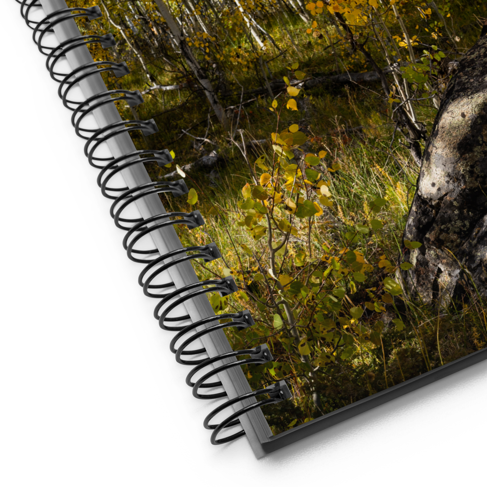 Rock With Aspens Spiral Notebook