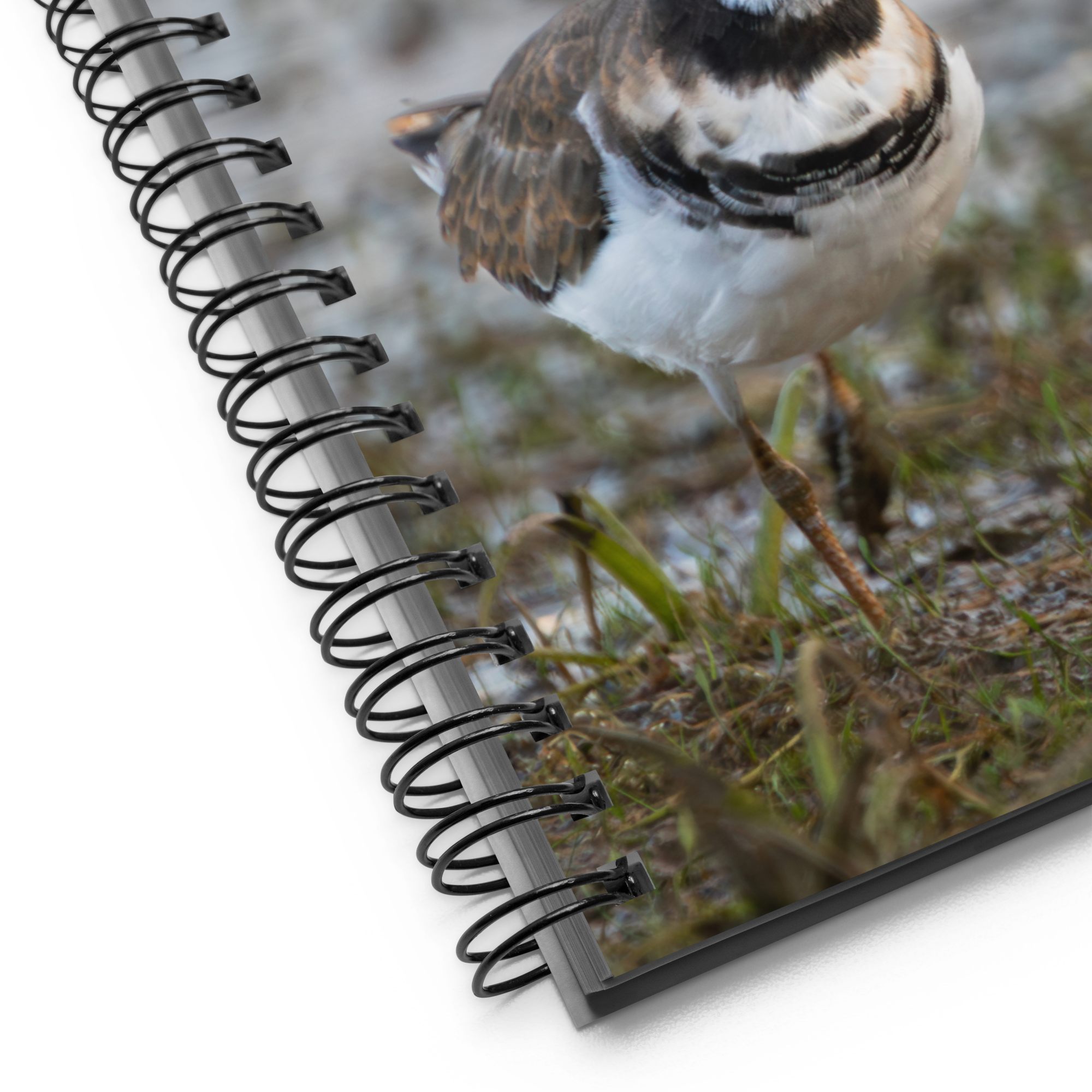 Killdeer Spiral notebook