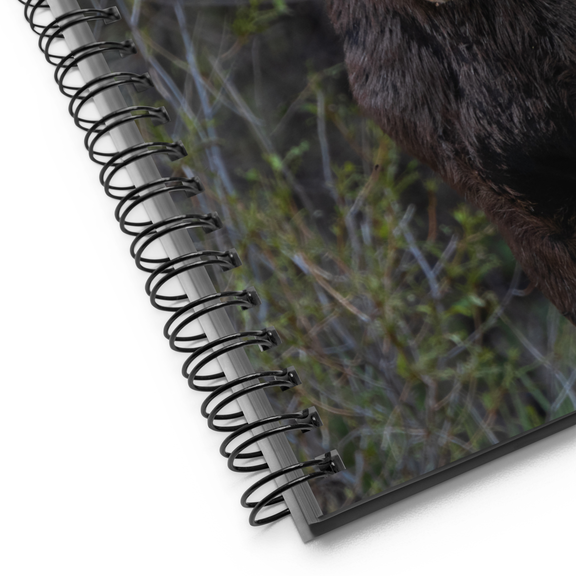 Moose Spiral notebook