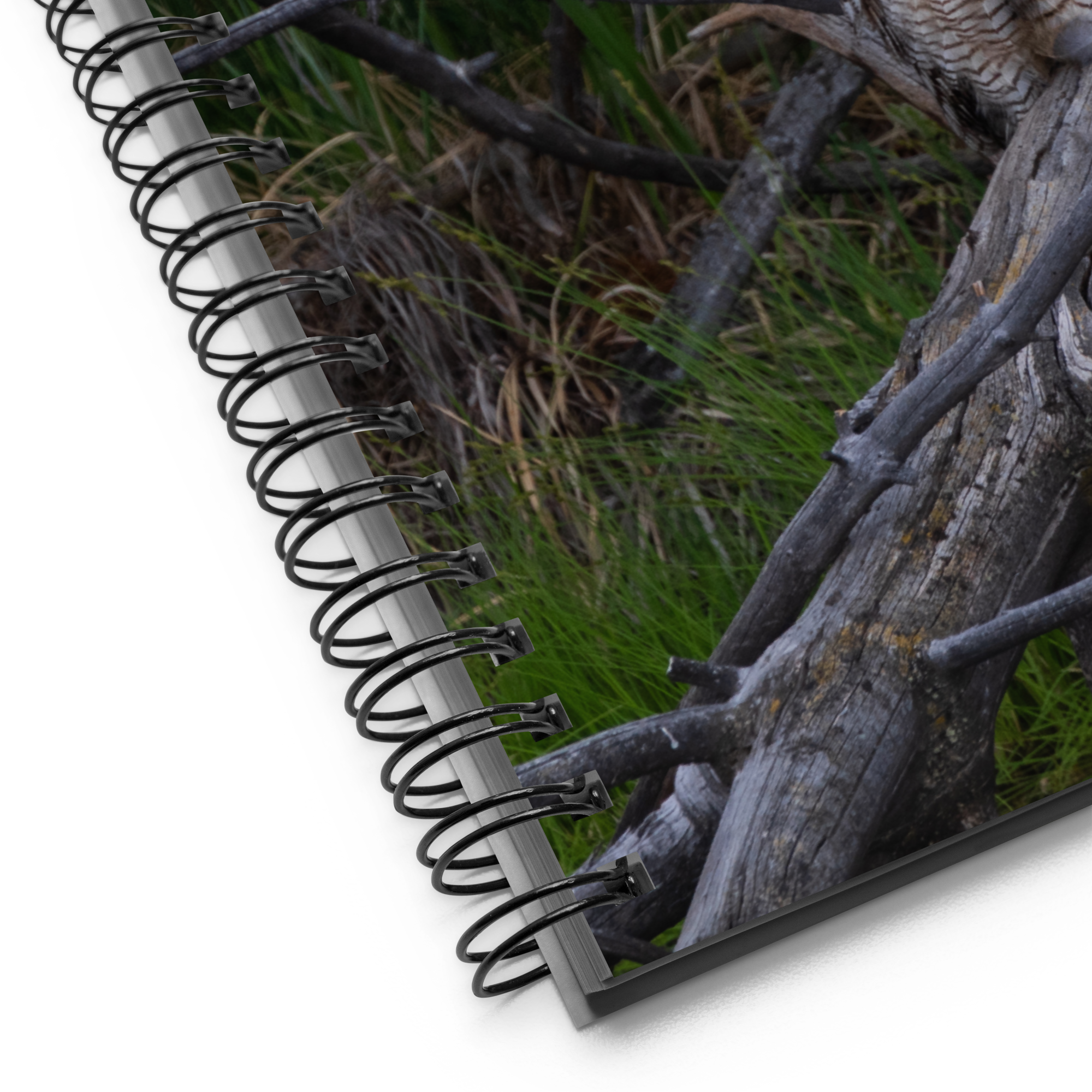 Owl Spiral notebook