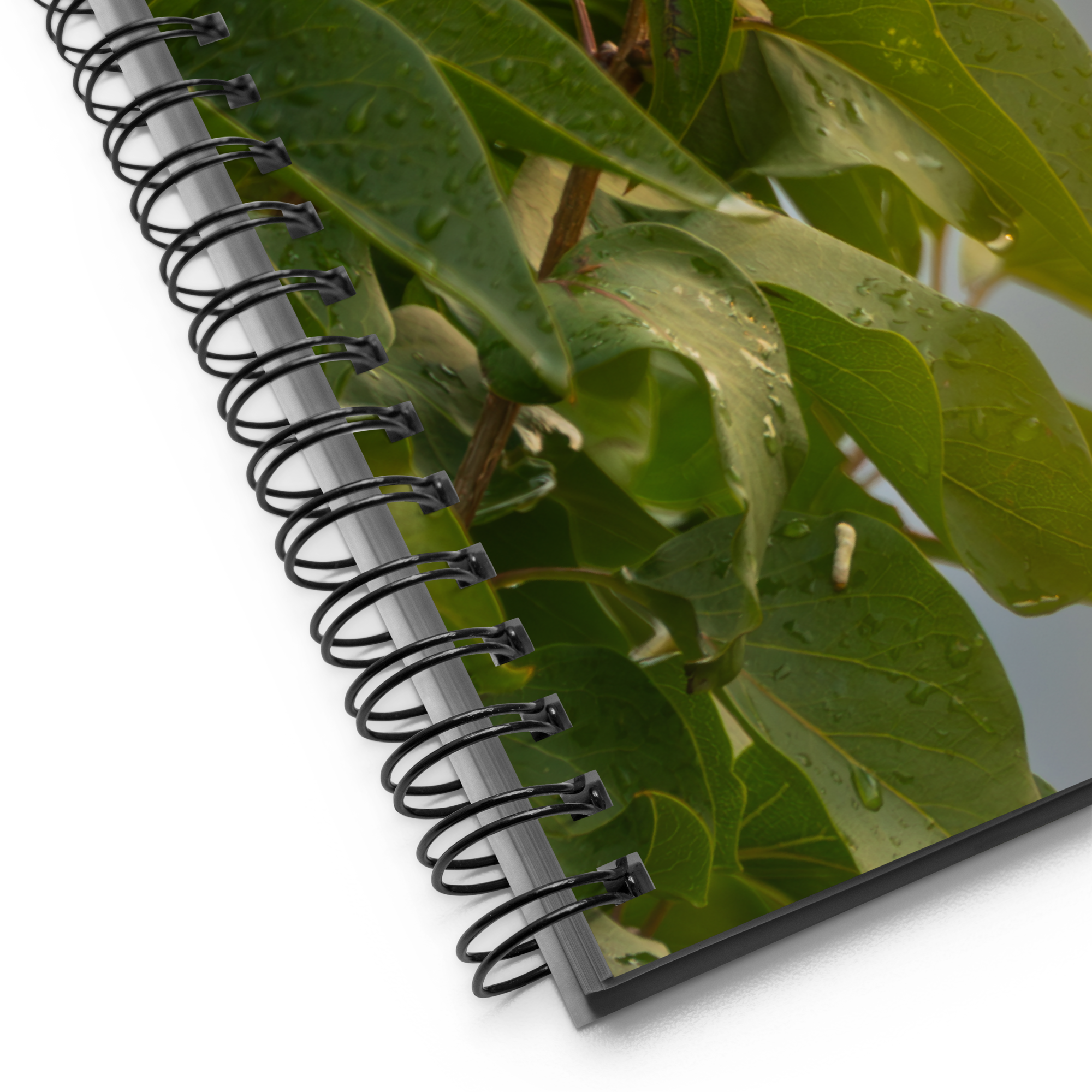 Common Sparrow Spiral notebook
