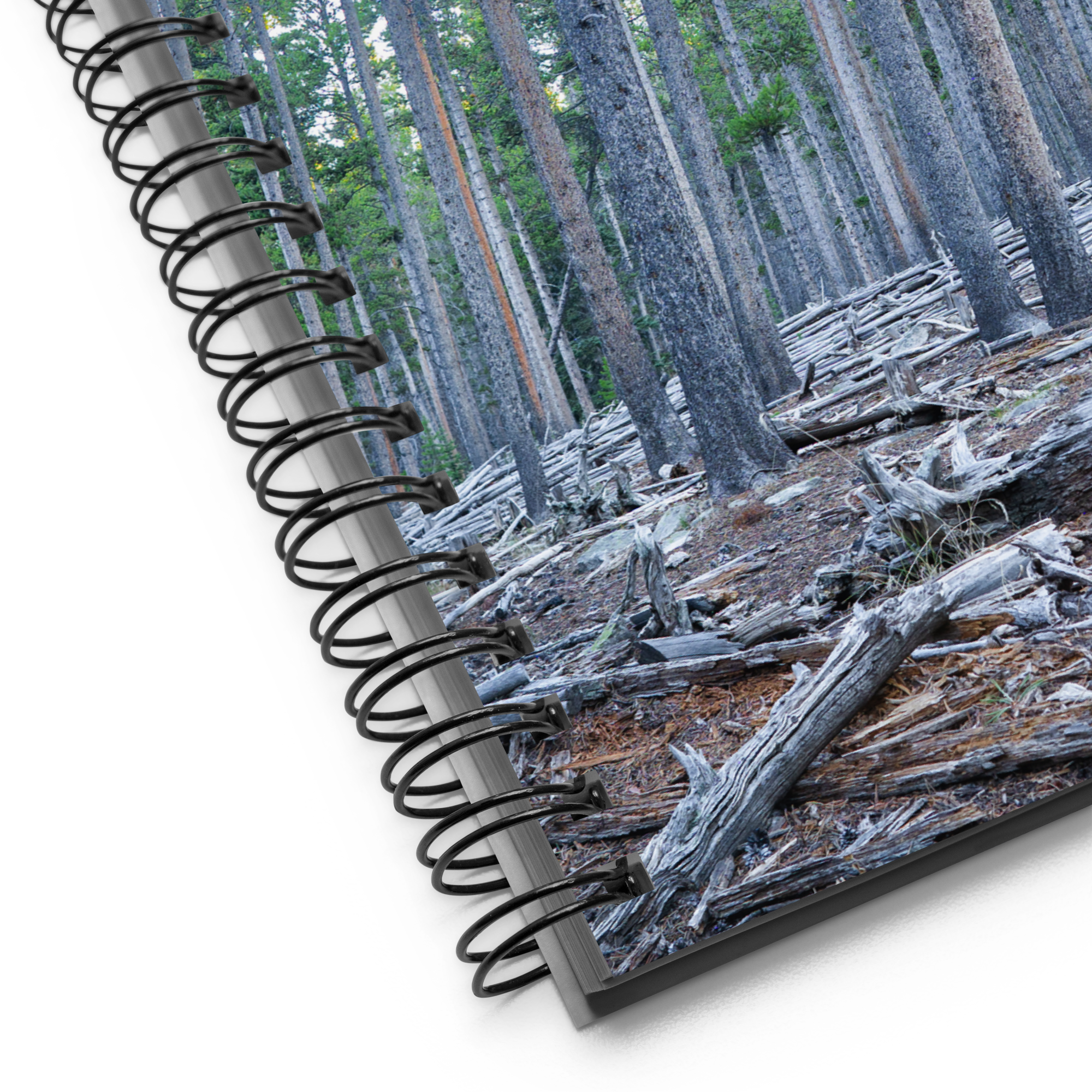Wyoming in the fall Spiral notebook