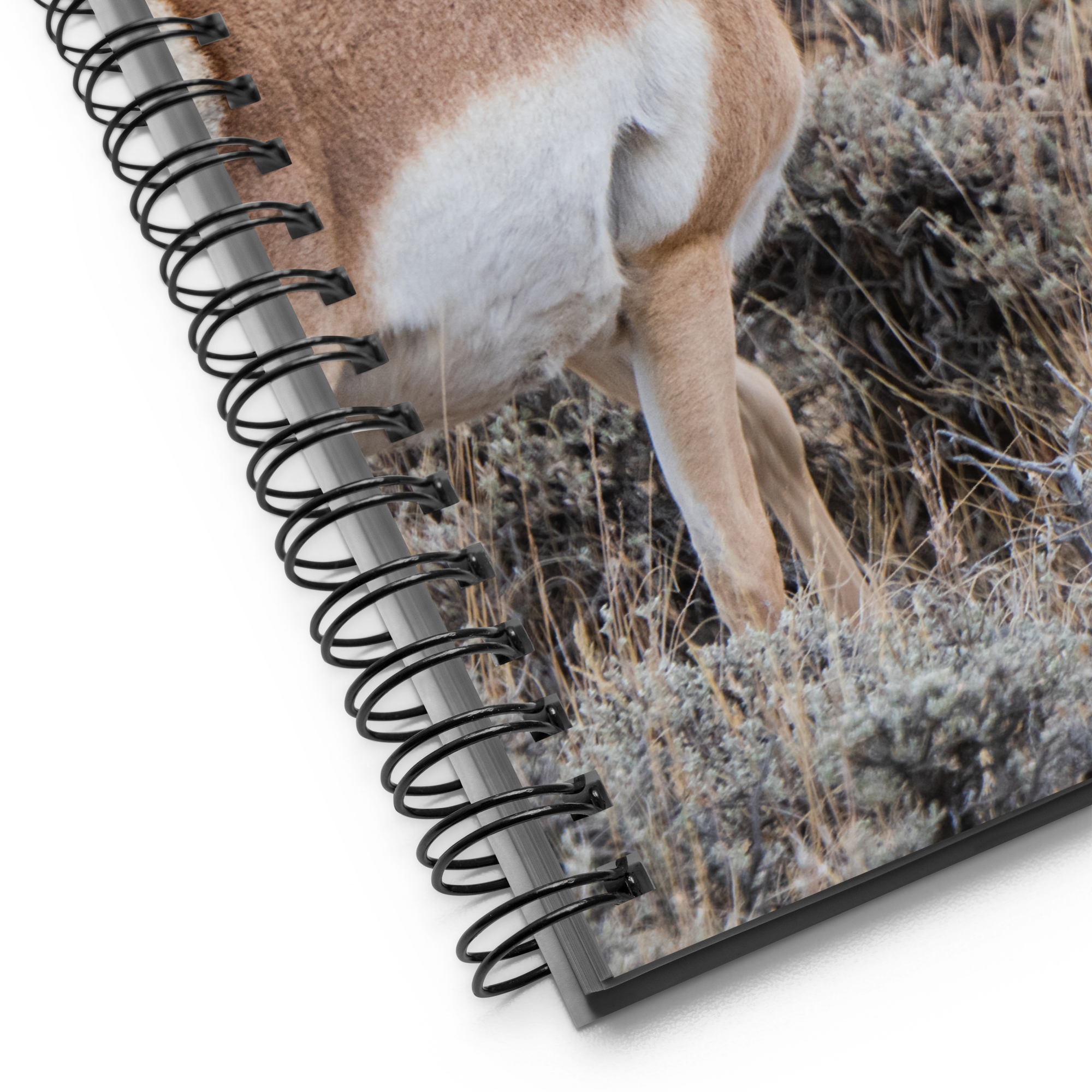 Pronghorn Spiral notebook
