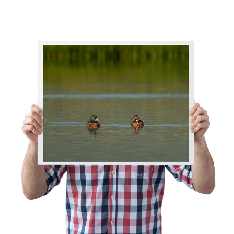 Duck Artwork