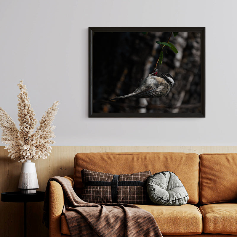 Chickadee Wall Art
