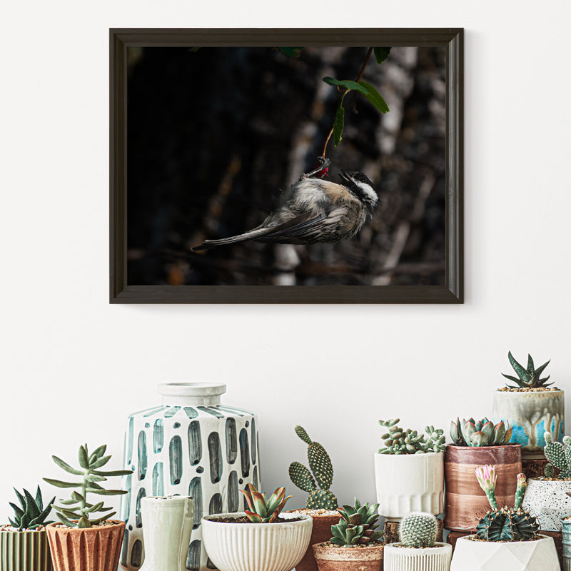 Chickadee Wall Art