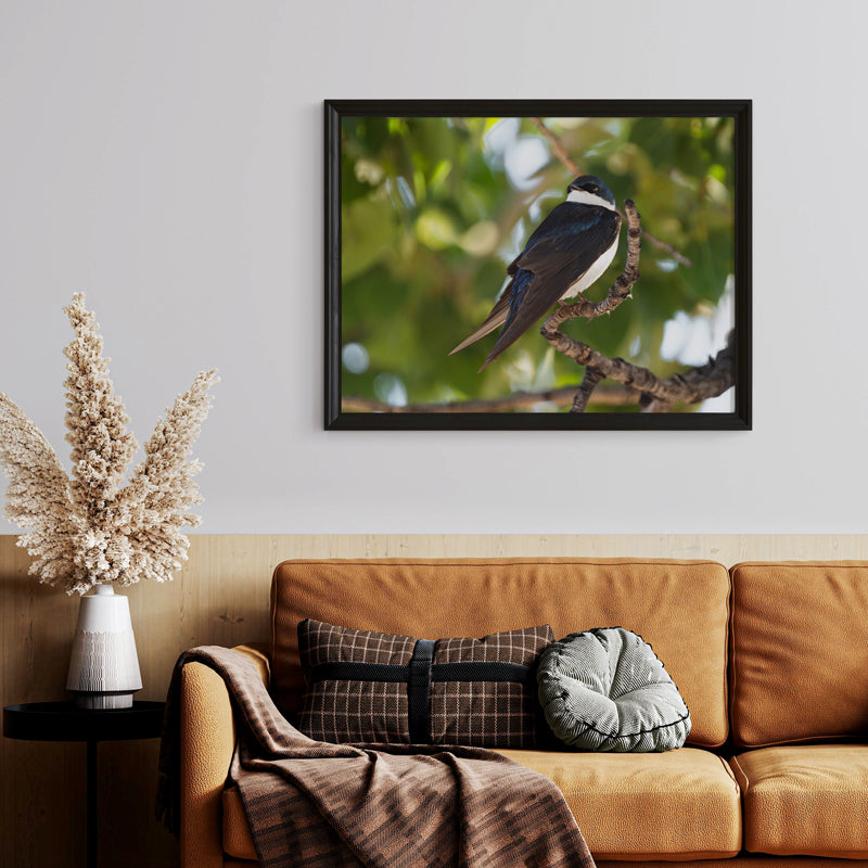 Tree Swallow Wall Art