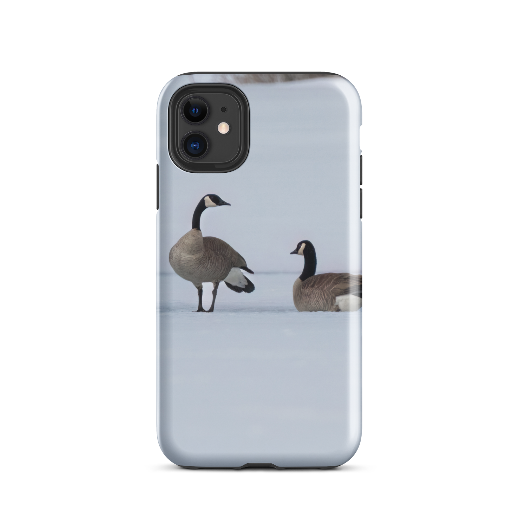 Spring on the Ice: Protect Your iPhone with the Resilience of Nature