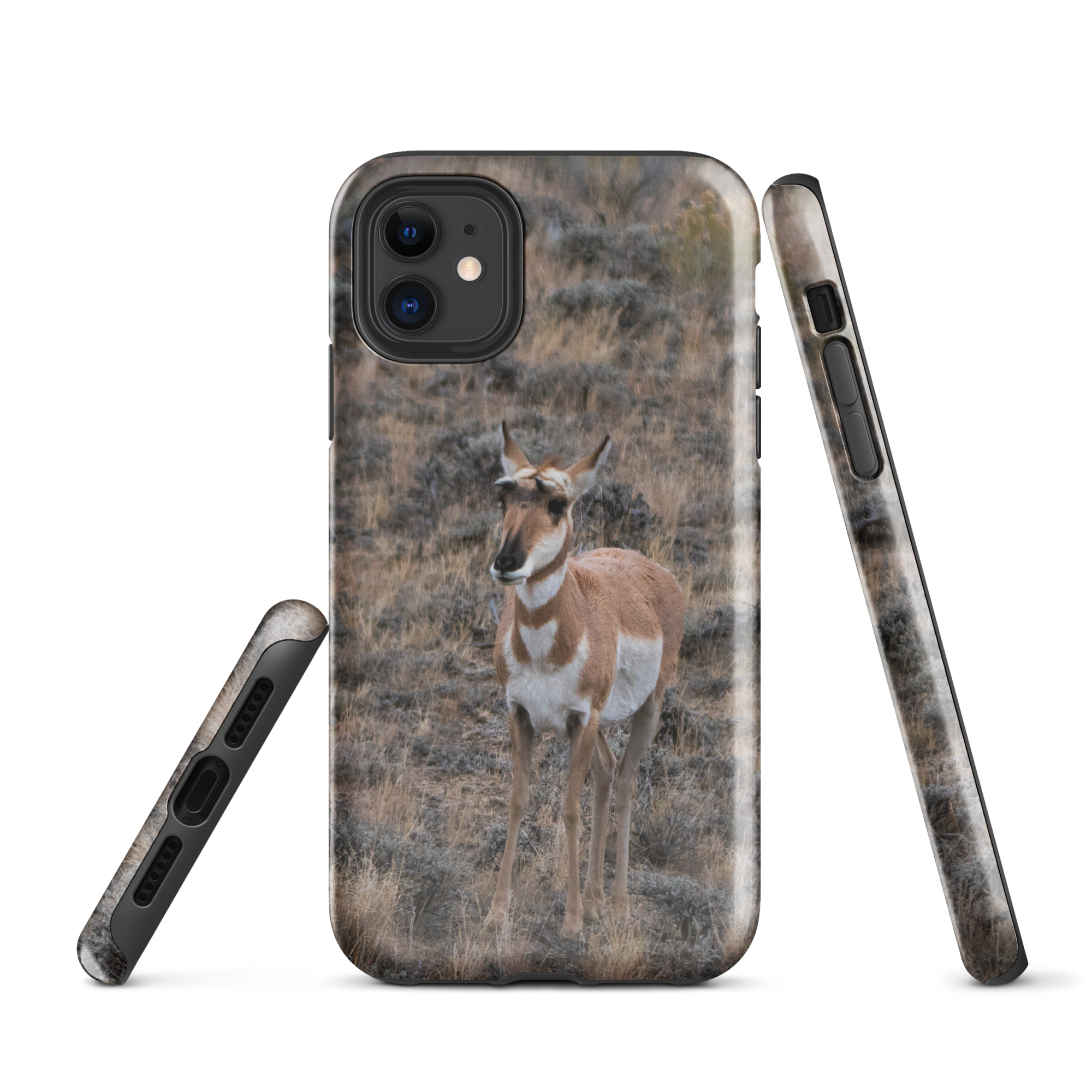 Pronghorn in the Fall Tough Case for iPhone®