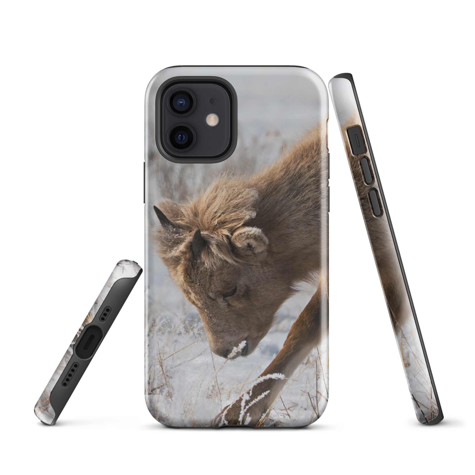 Built for the Wild — Inspired by the Fearless Tough Case for iPhone®