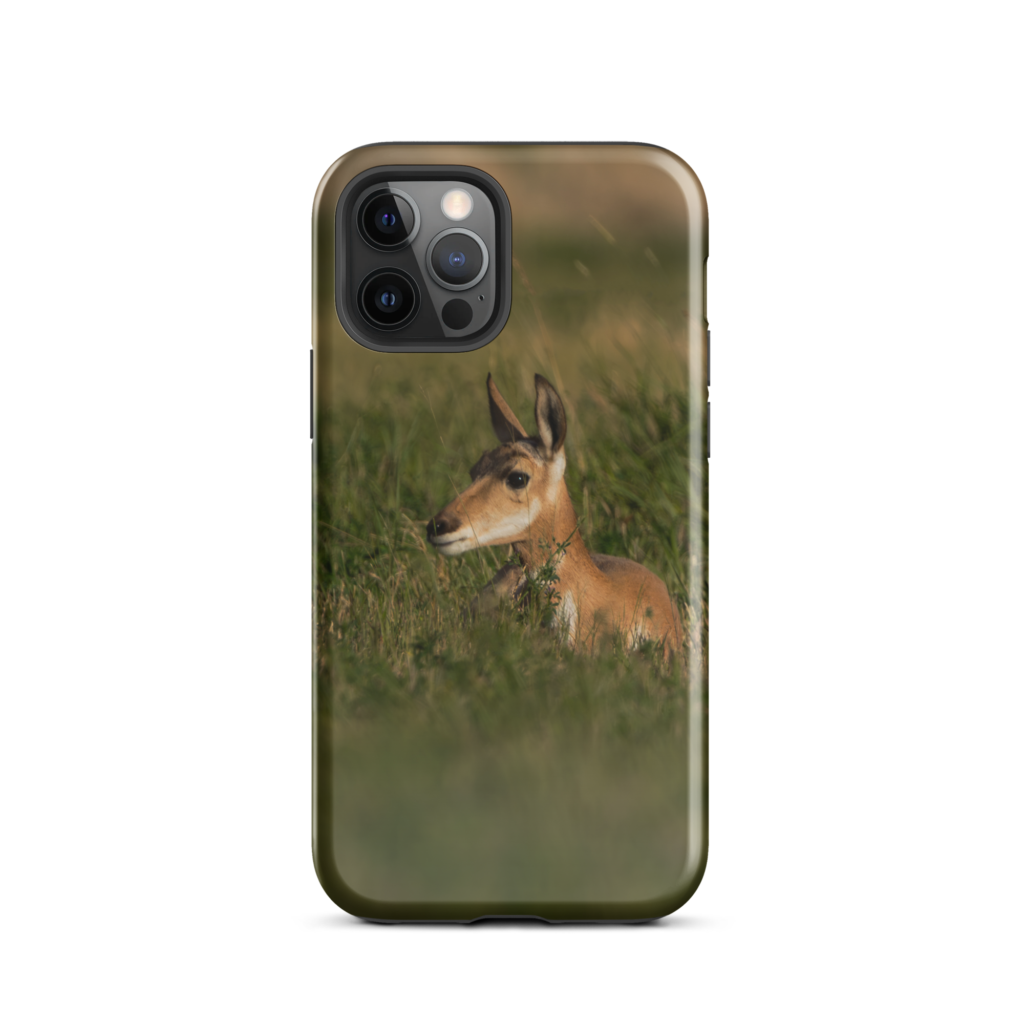 Baby Pronghorn Tough Case for iPhone®