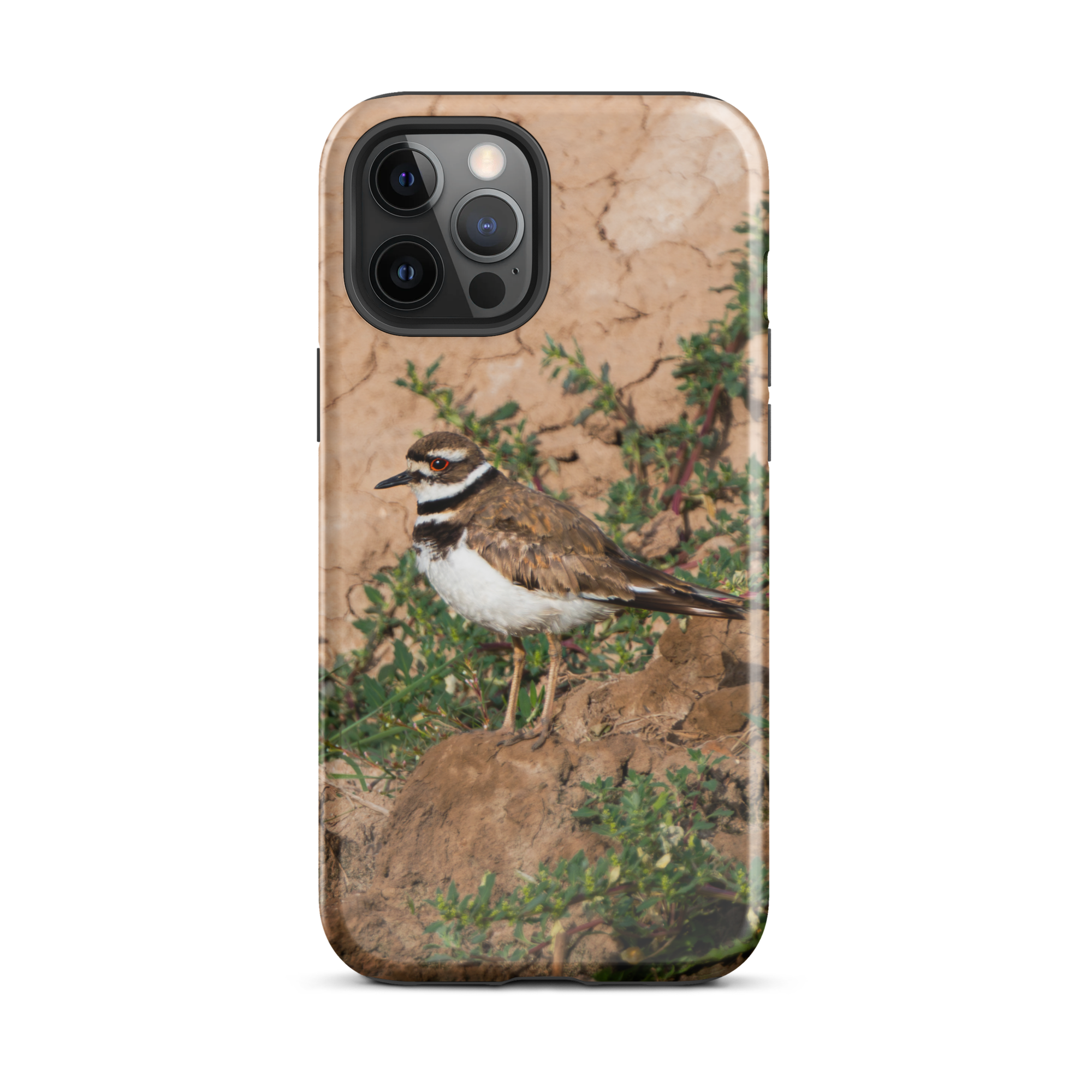 Killdeer Tough Case for iPhone®