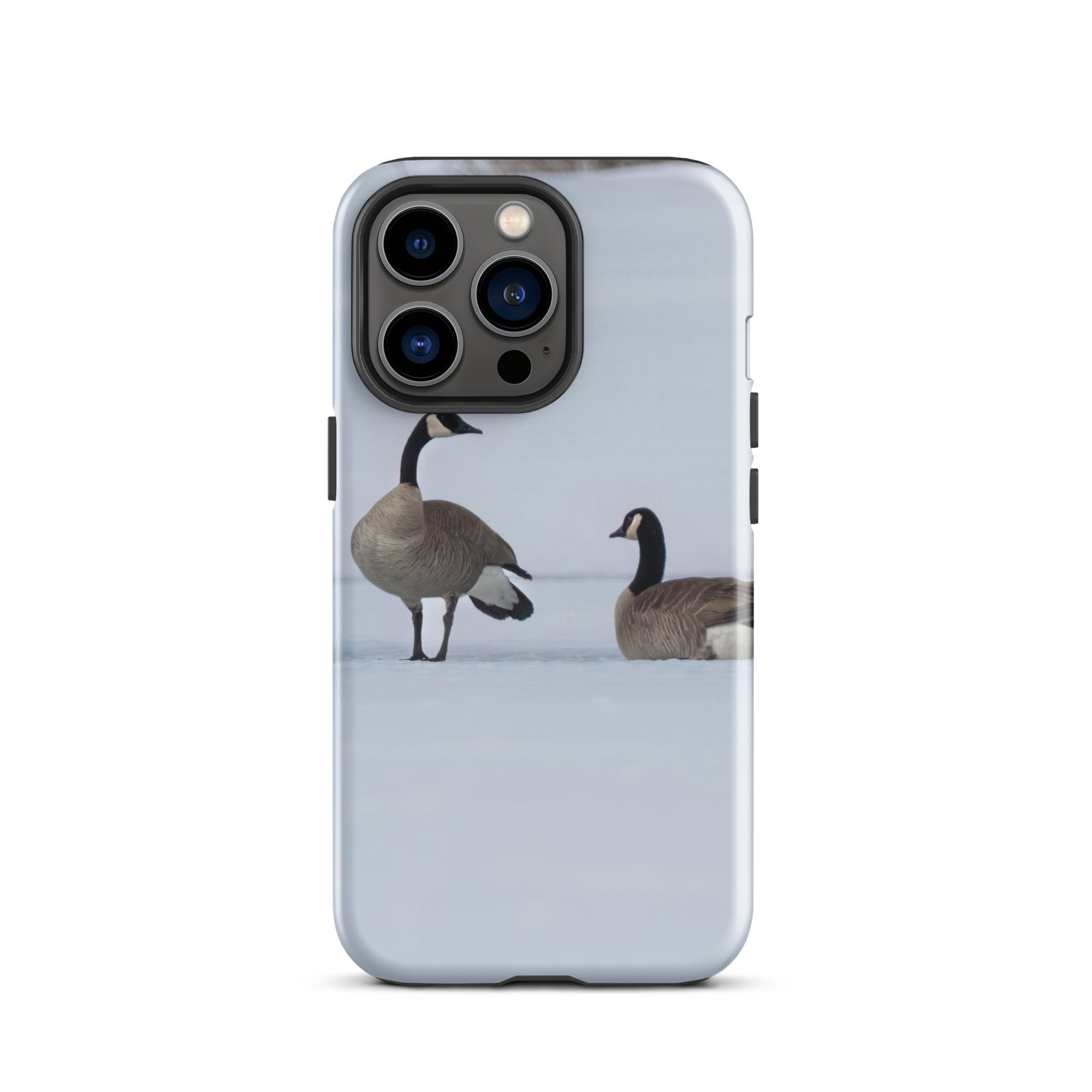 Spring on the Ice: Protect Your iPhone with the Resilience of Nature