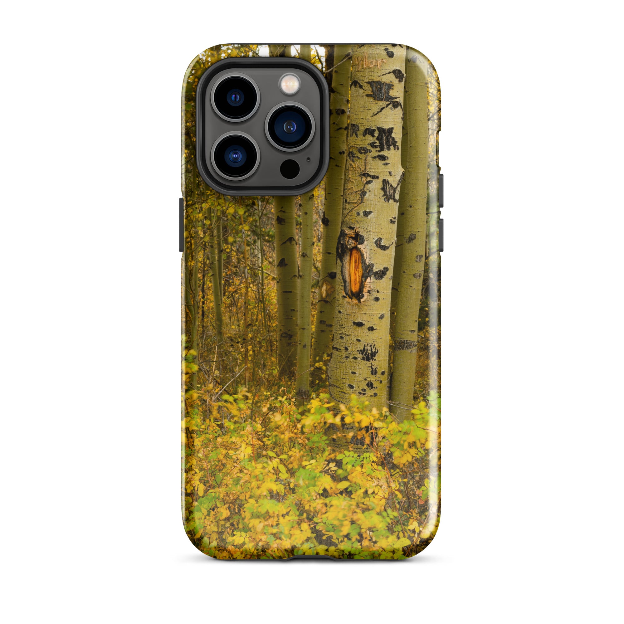 Fall Close Up Aspen Tough Case for iPhone®