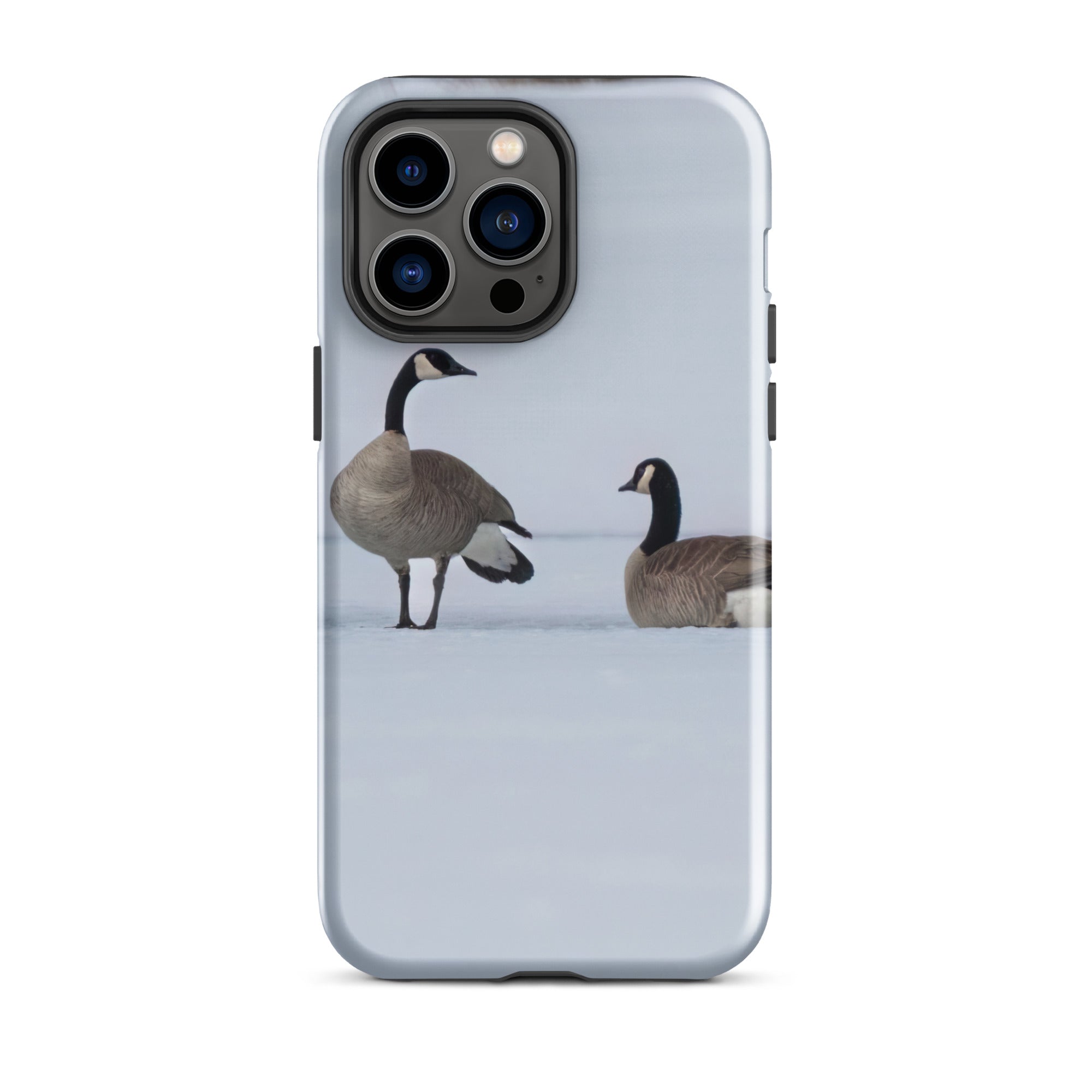 Spring on the Ice: Protect Your iPhone with the Resilience of Nature