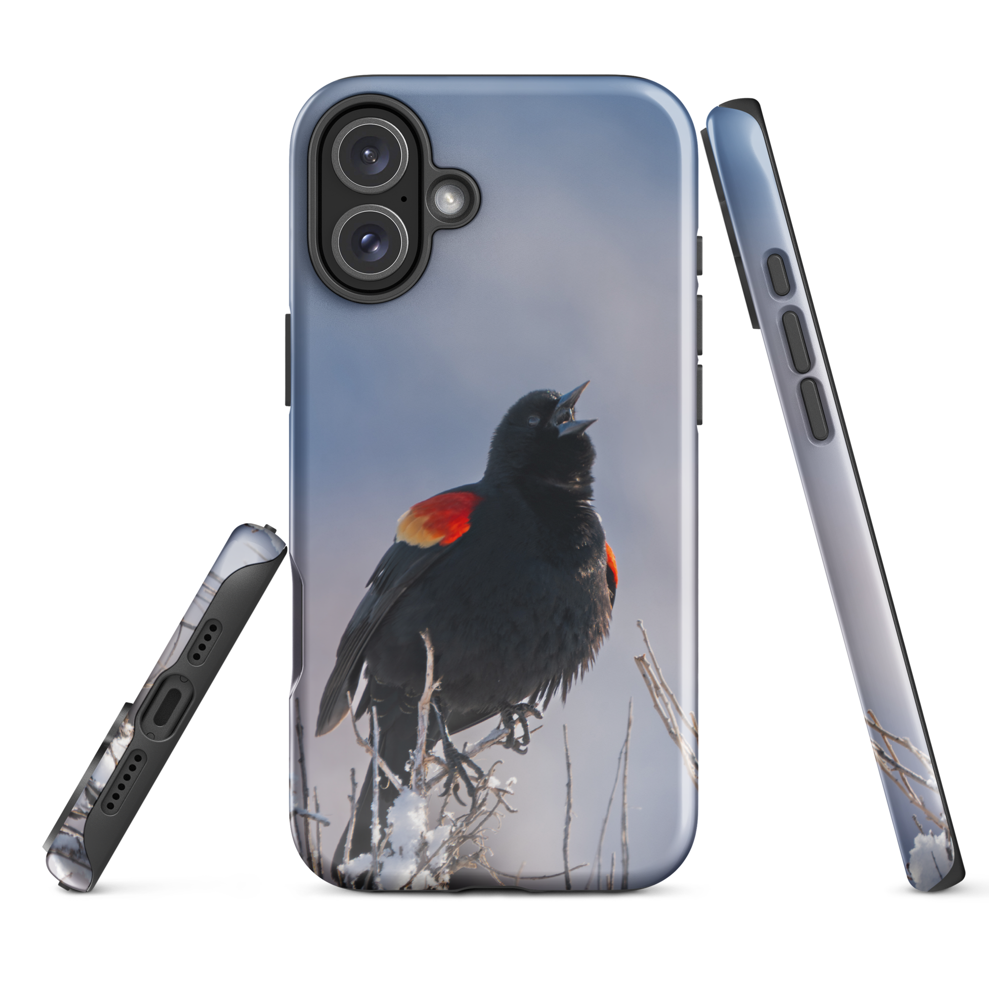 Red-winged Blackbird Return iPhone Cover