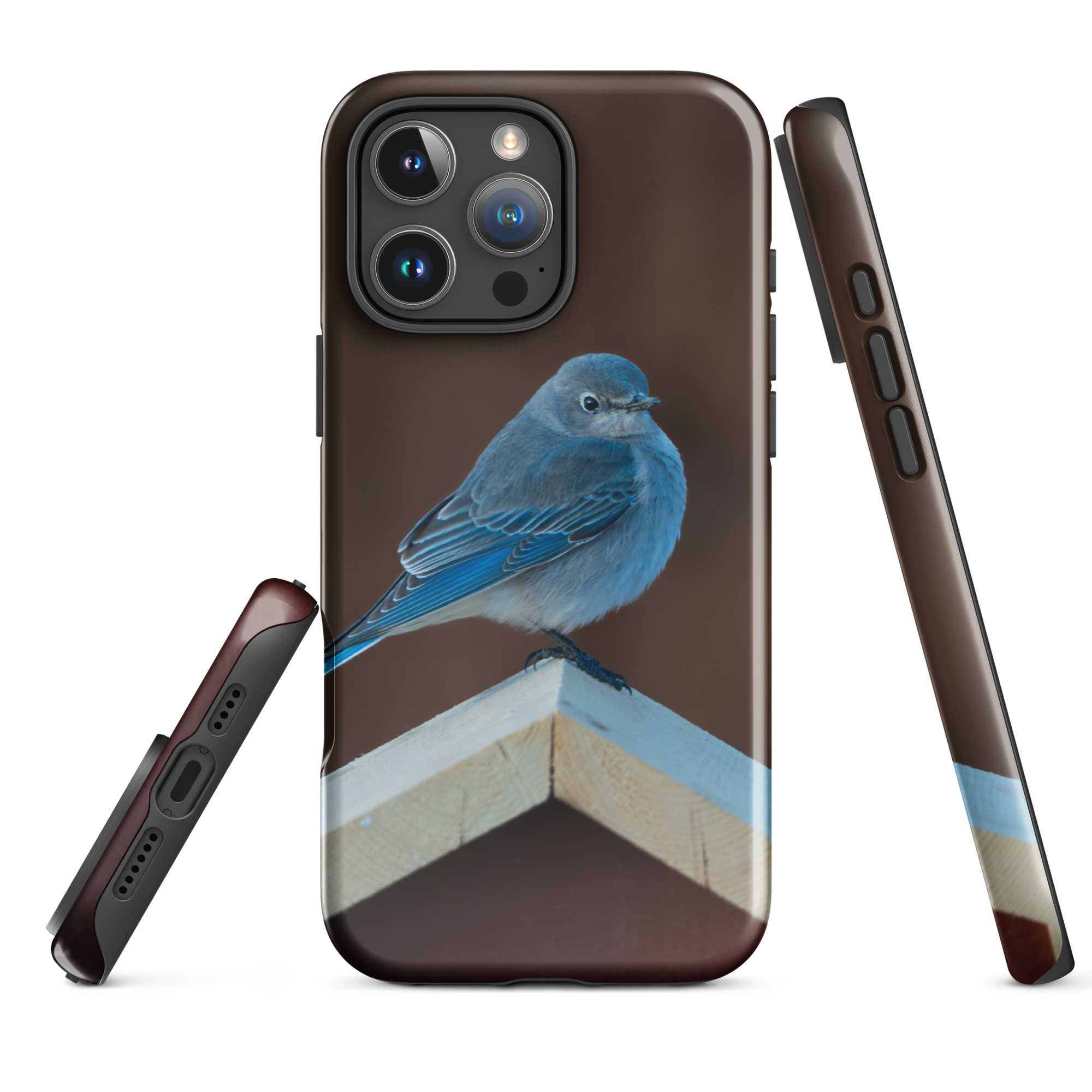 Still & Wild iPhone Case