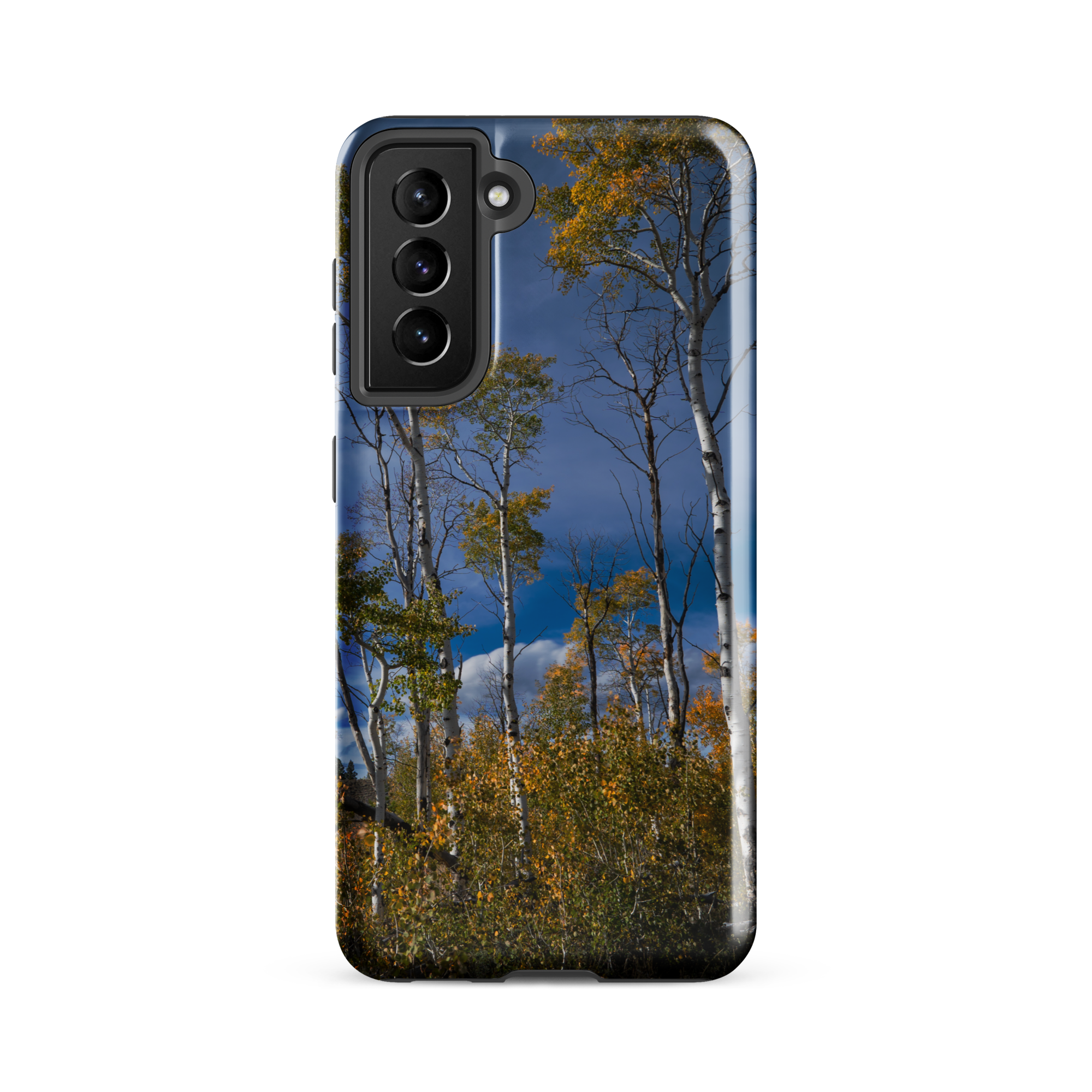 Fall New Fork Lake , Wyoming Tough Case for Samsung®