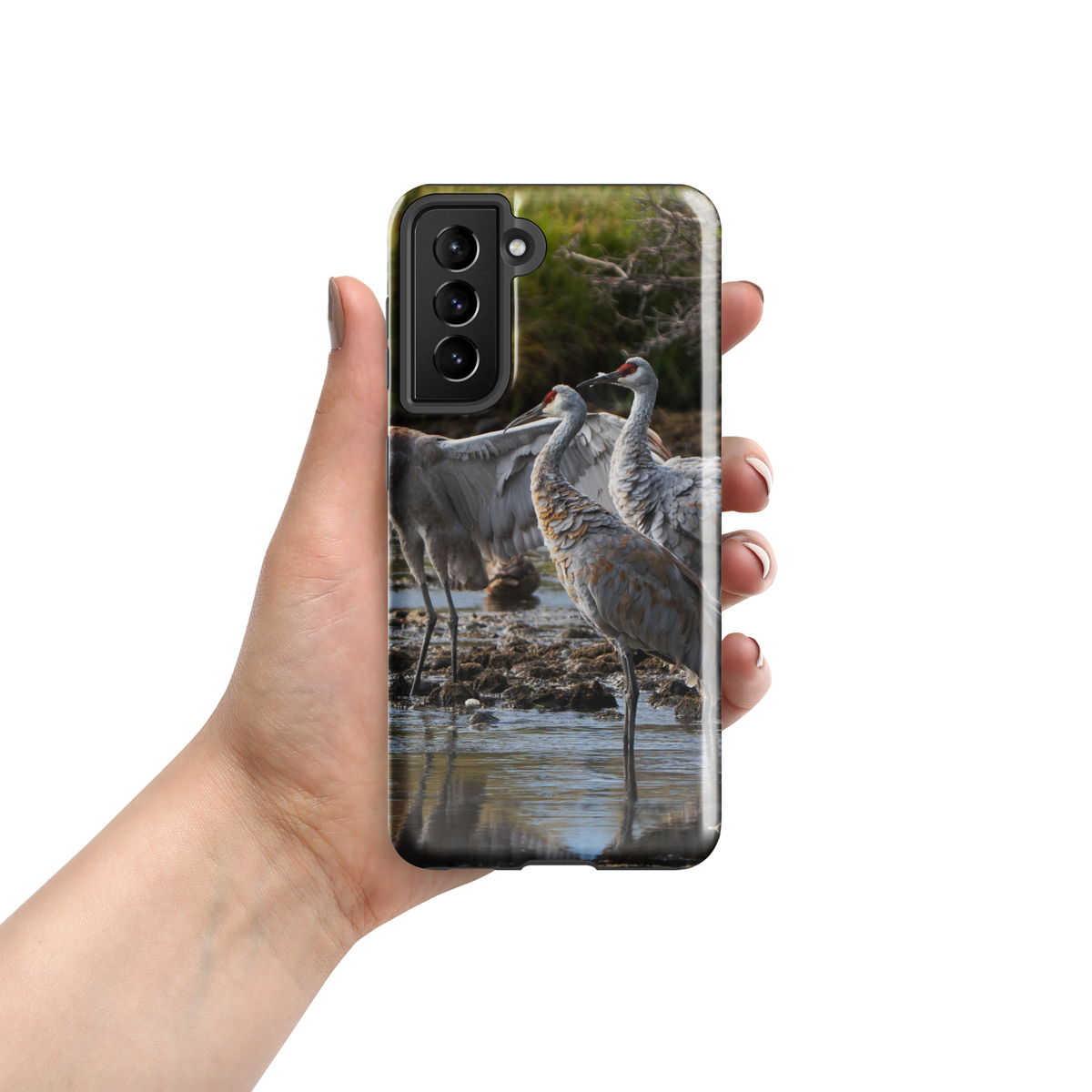 Tough case for Samsung® Sandhill Cranes Carry the Wild With You