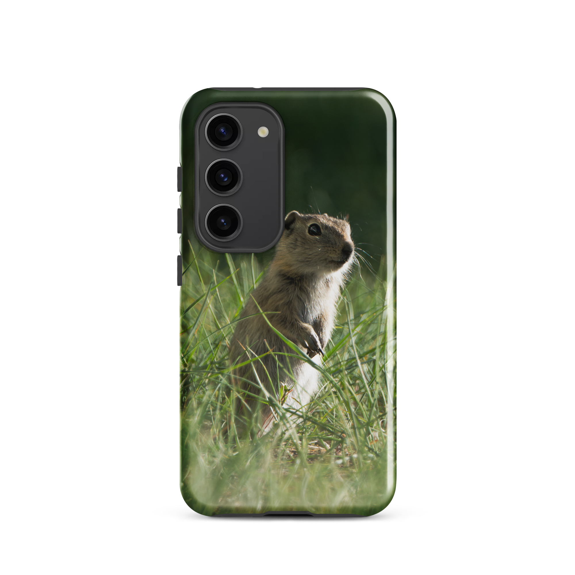 Wyoming Ground Squirrel Tough case for Samsung®