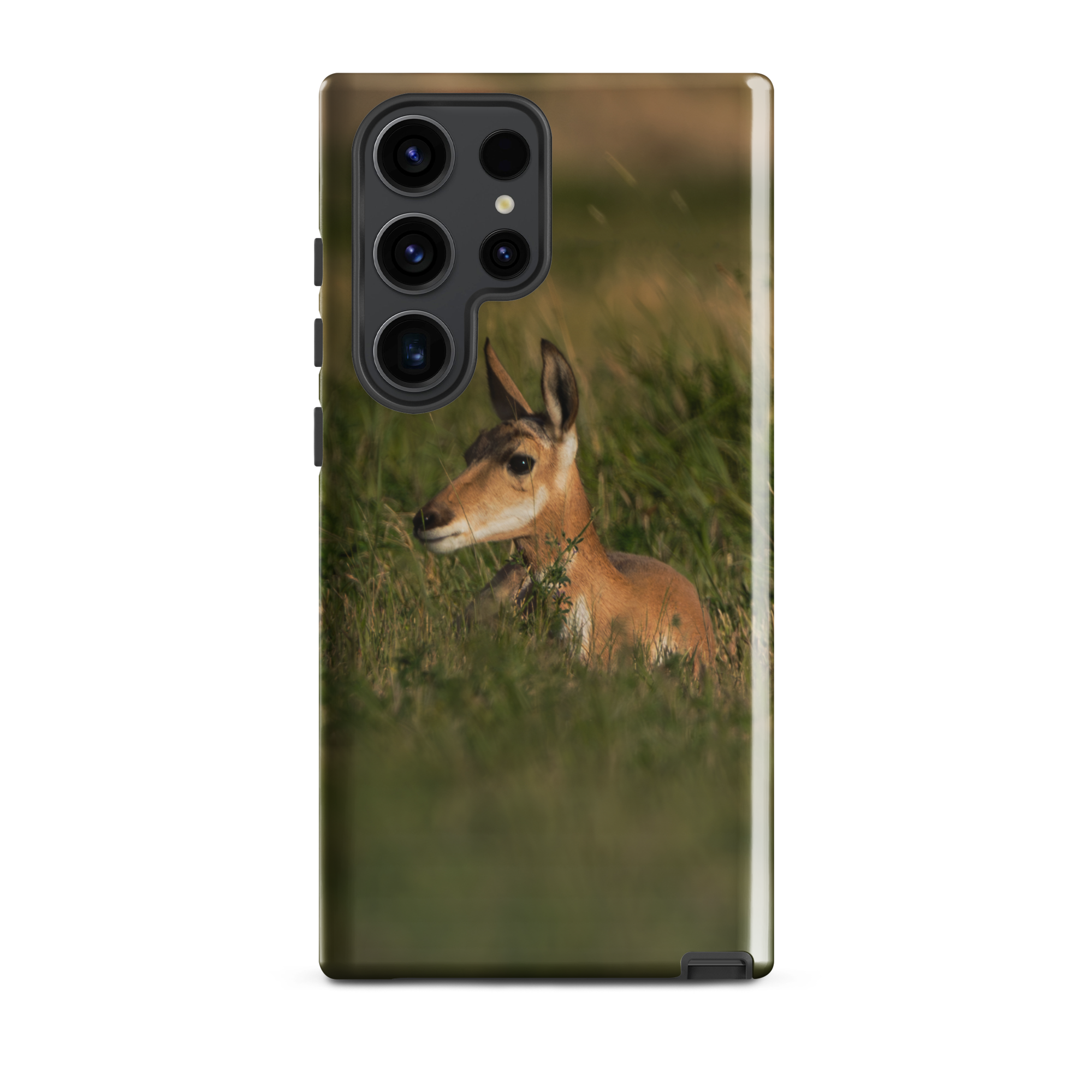 Baby Pronghorn Tough case for Samsung®