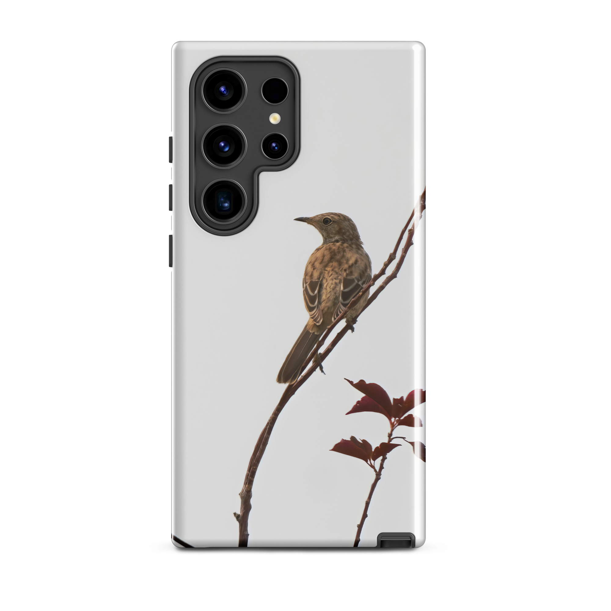 Sage Thrasher Tough case for Samsung®