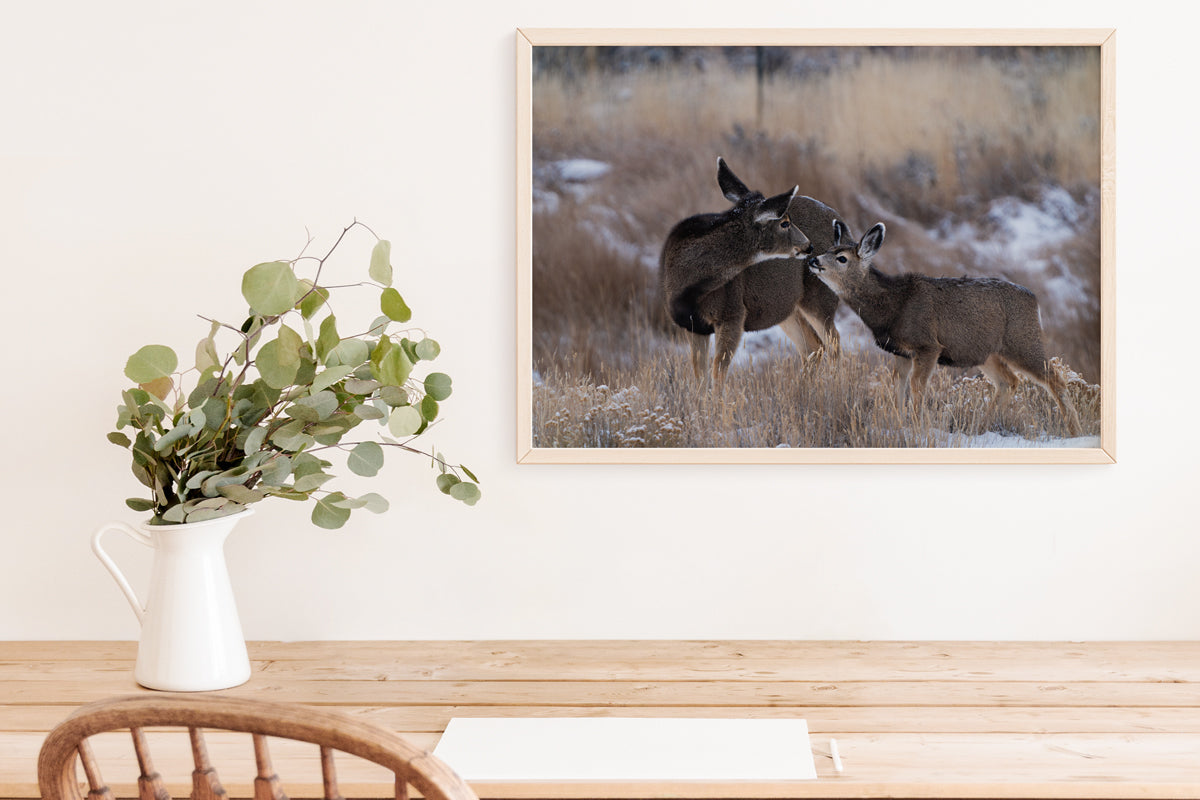 Tender Moments Captured: Deer Wall Art for Your Home