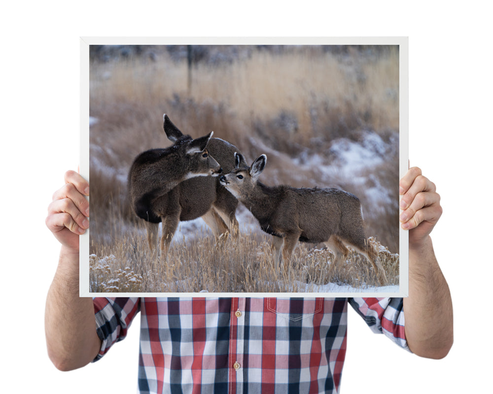 Tender Moments Captured: Deer Wall Art for Your Home