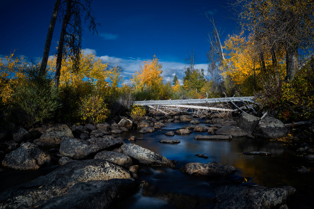 Autumn Whispers in Wyoming
