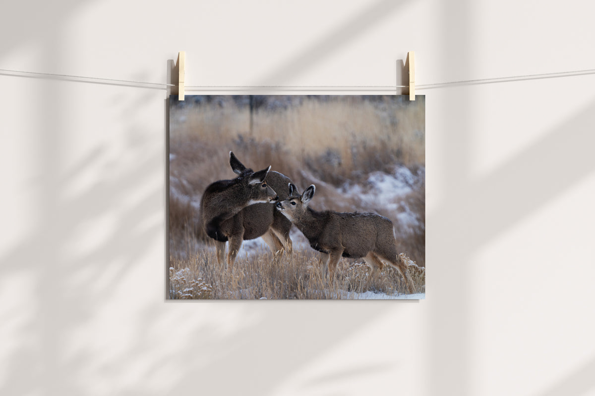 Tender Moments Captured: Deer Wall Art for Your Home