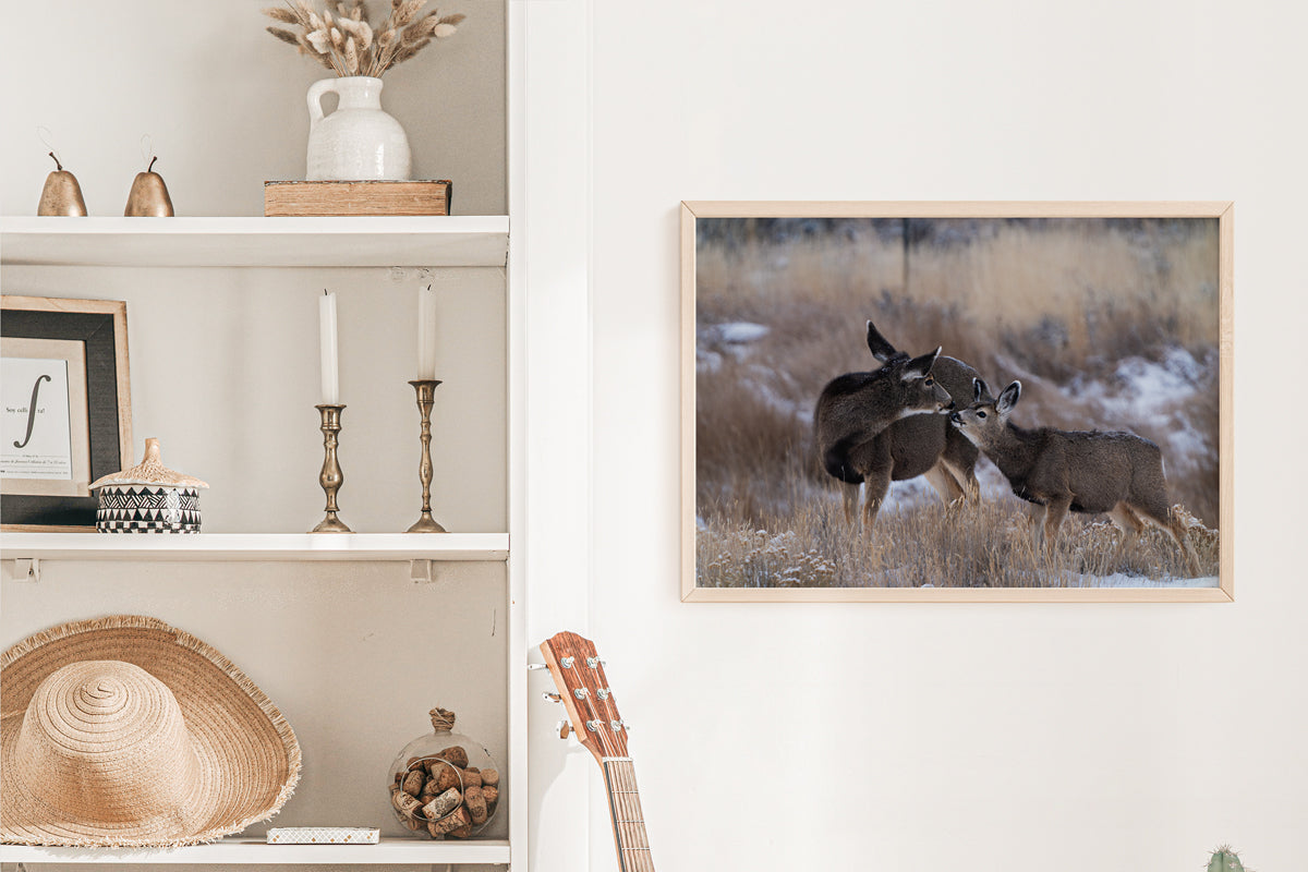 Tender Moments Captured: Deer Wall Art for Your Home